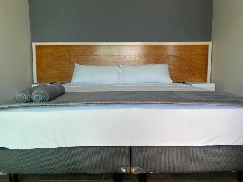Suite - Photo 7