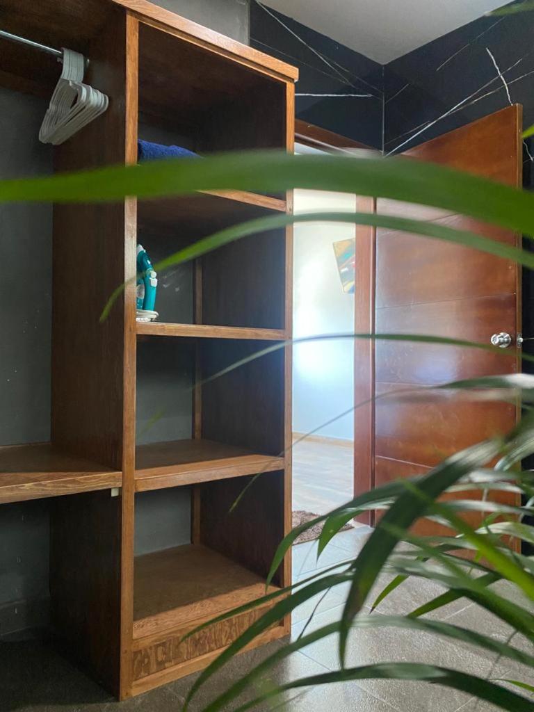 Suite - Photo 5