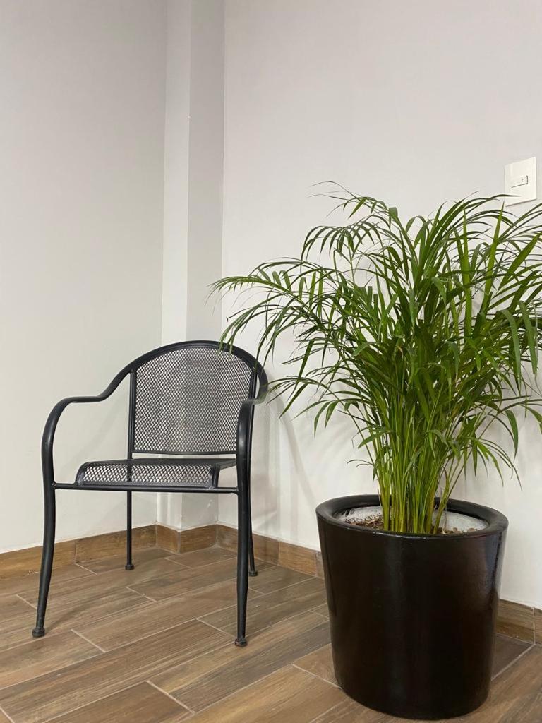 Suite - Photo 13