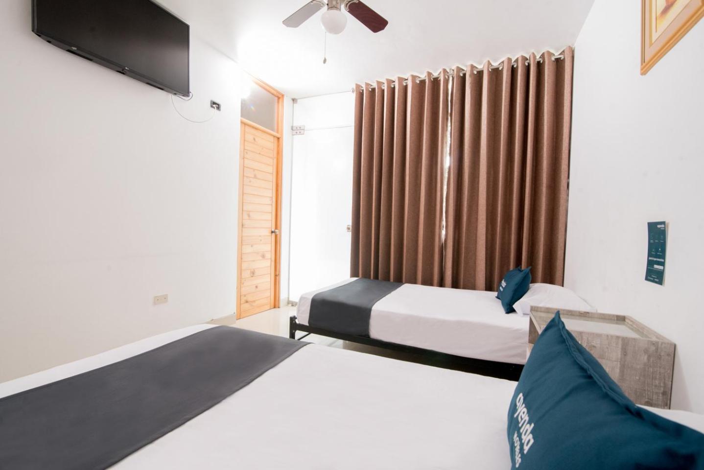 Twin Room photo 3