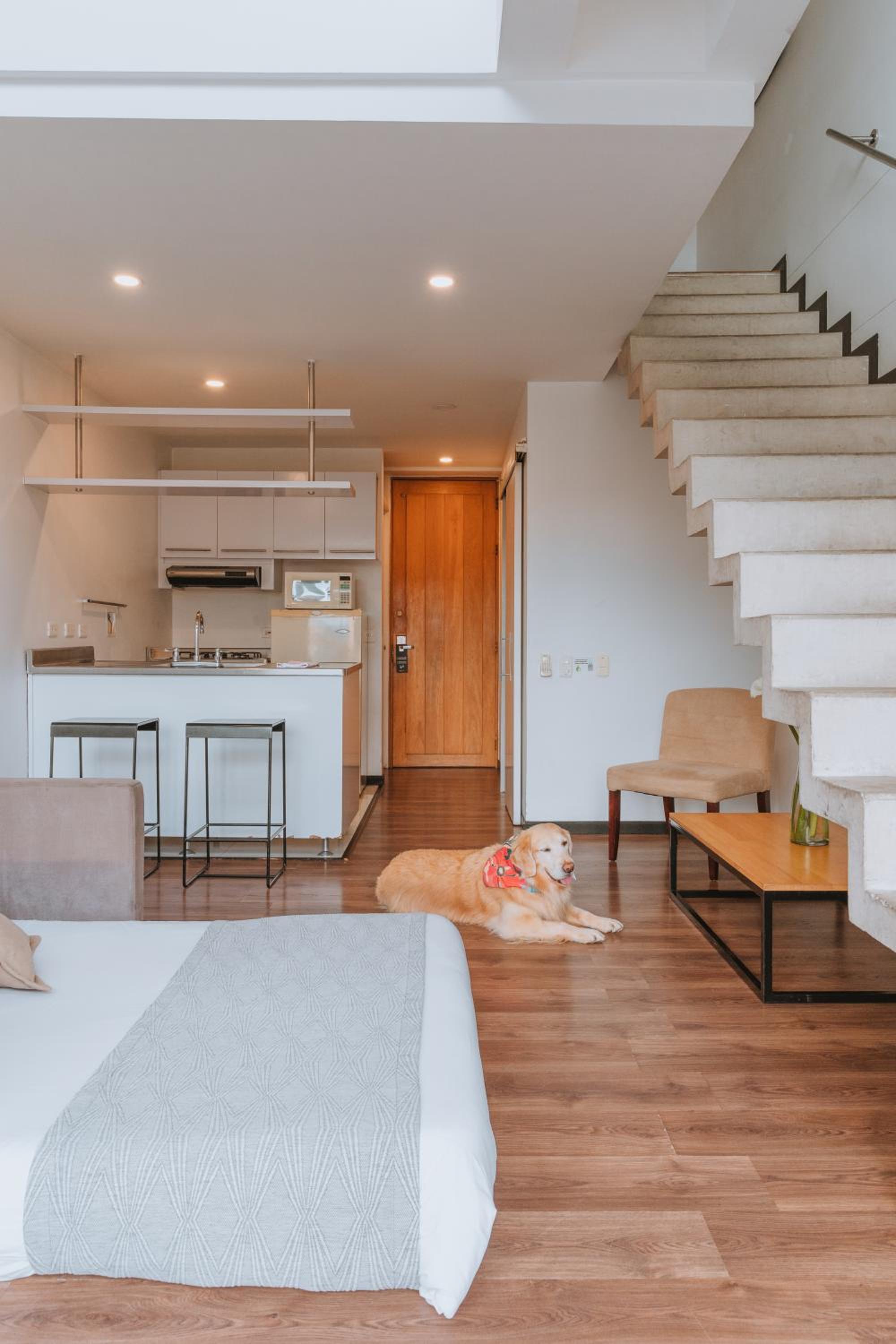 Duplex Apartment photo 1