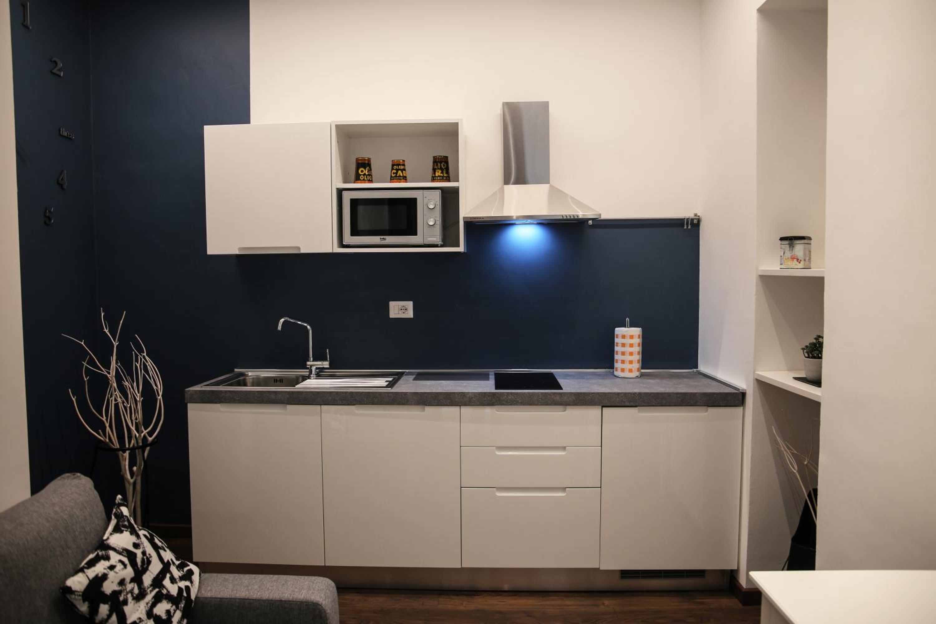 One-Bedroom Apartment photo 3