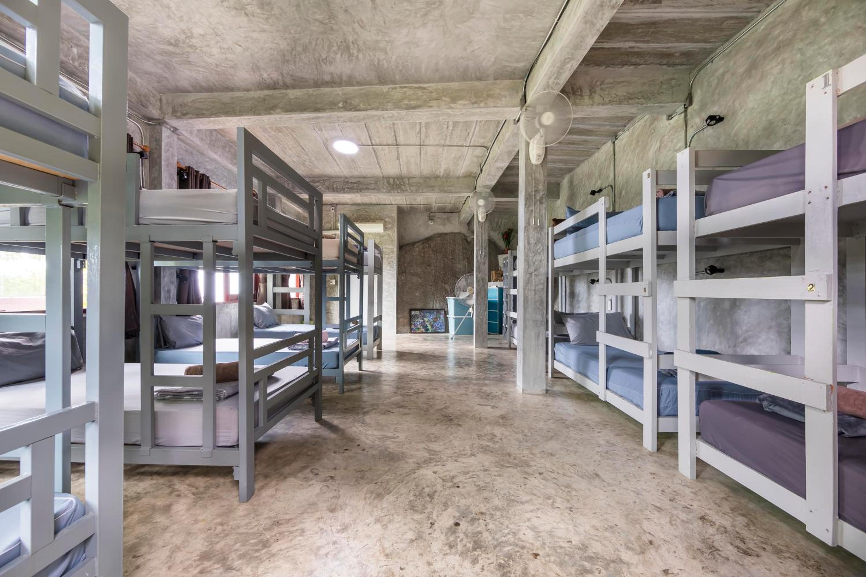 Bed in 16-Bed Mixed Dormitory Room photo 3