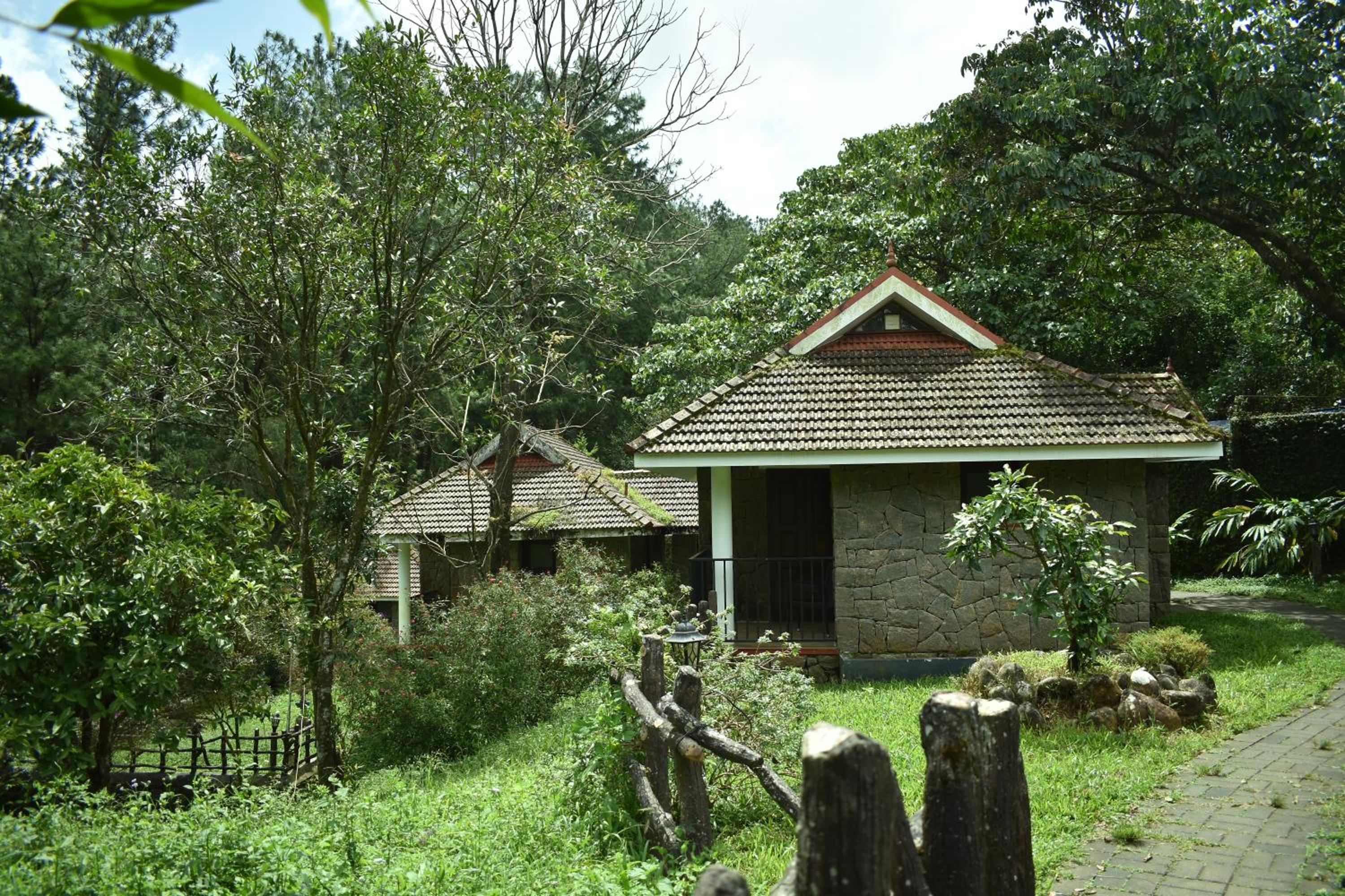 Standard Villa photo 3
