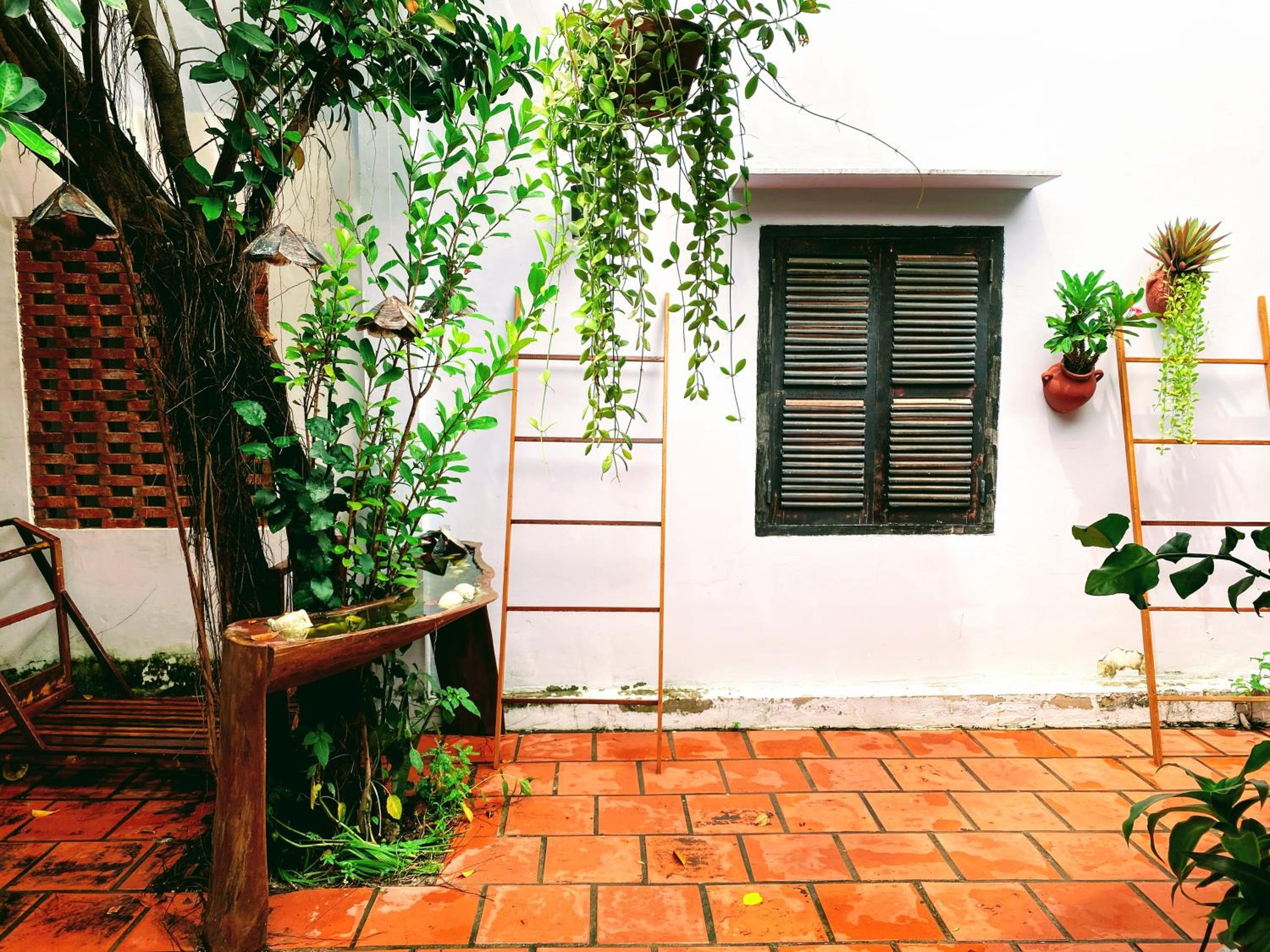 Suite With Terrace photo 3