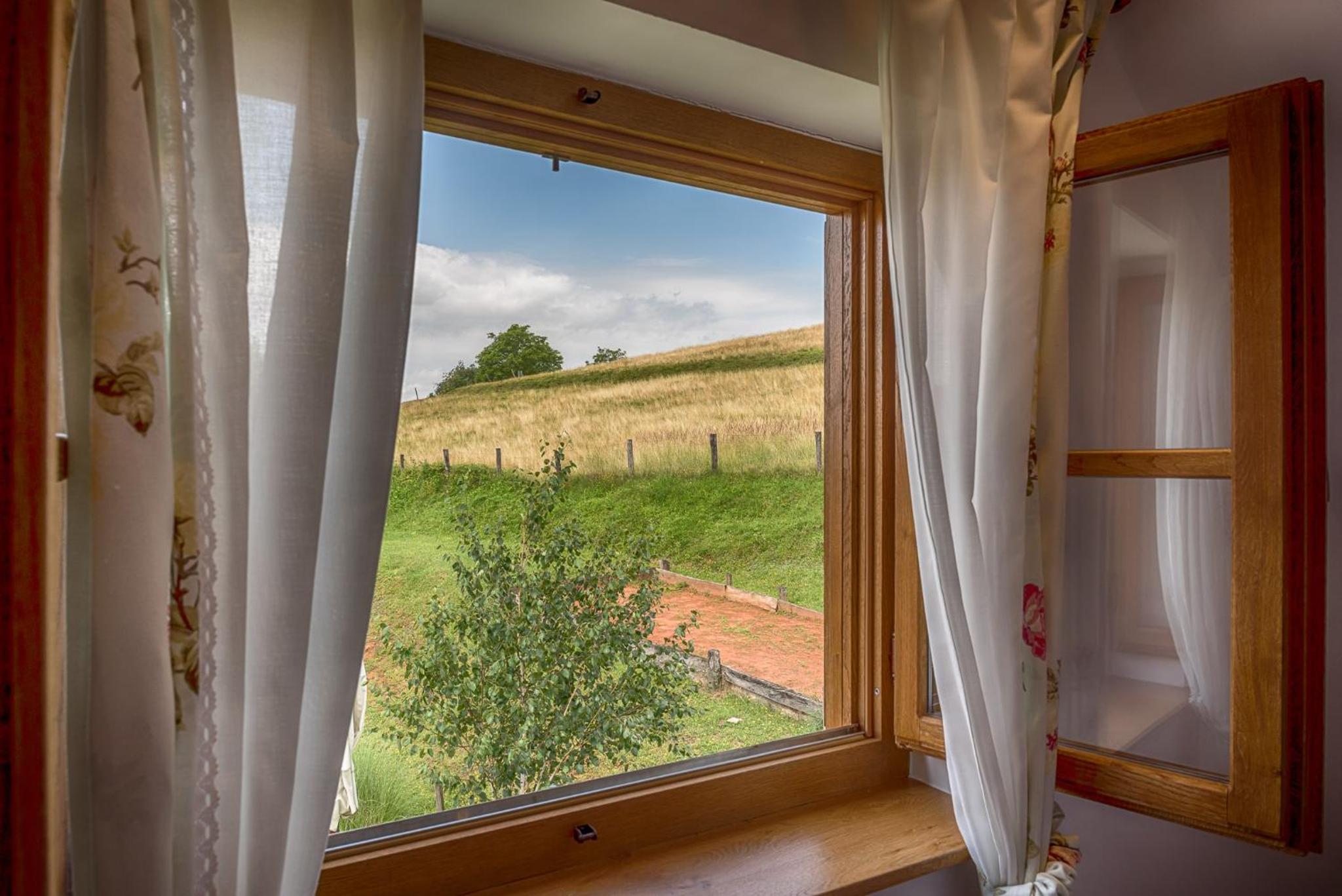 Apartment with Garden View - Photo 2