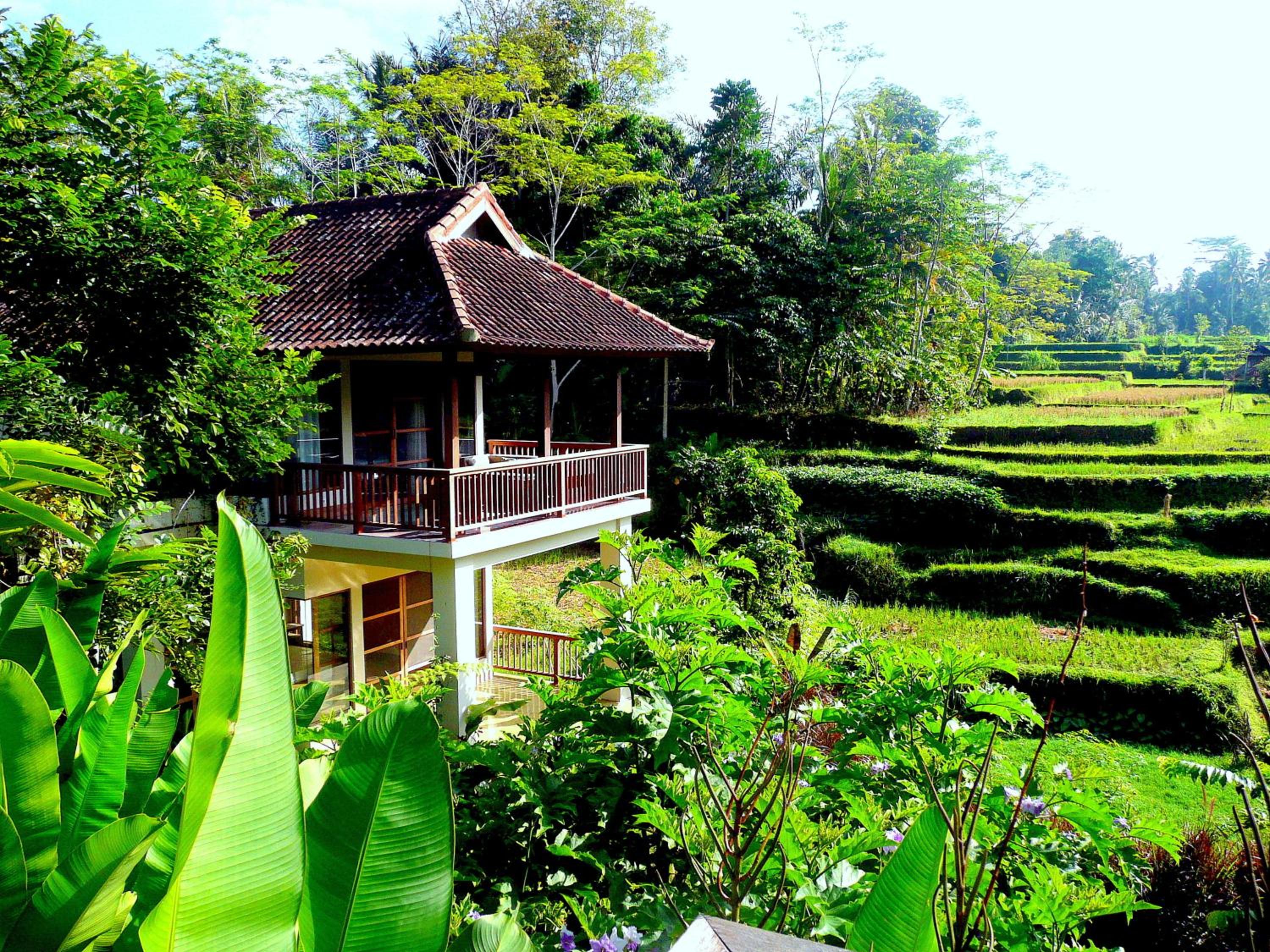 One-Bedroom Villa - Photo 6
