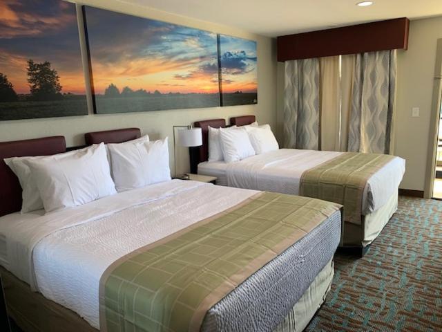 Queen Room with Two Queen Beds - Non-Smoking - Photo 3