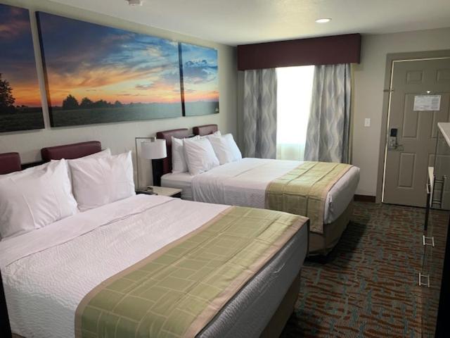 Queen Room with Two Queen Beds - Non-Smoking - Photo 4