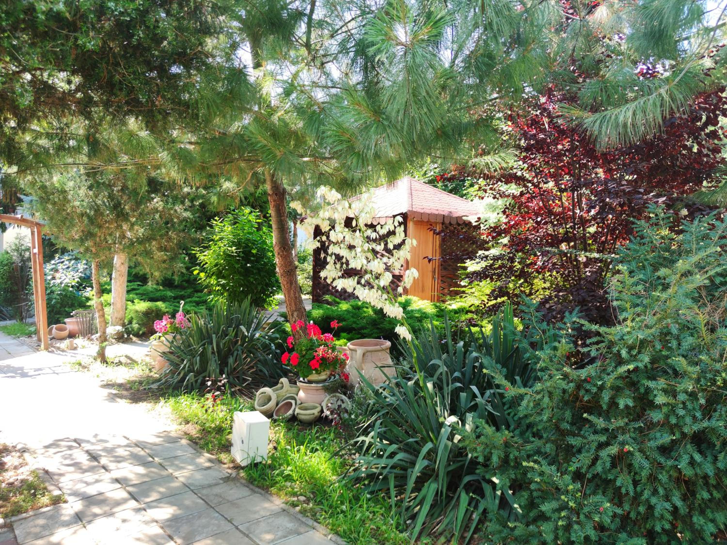 Villa photo 2