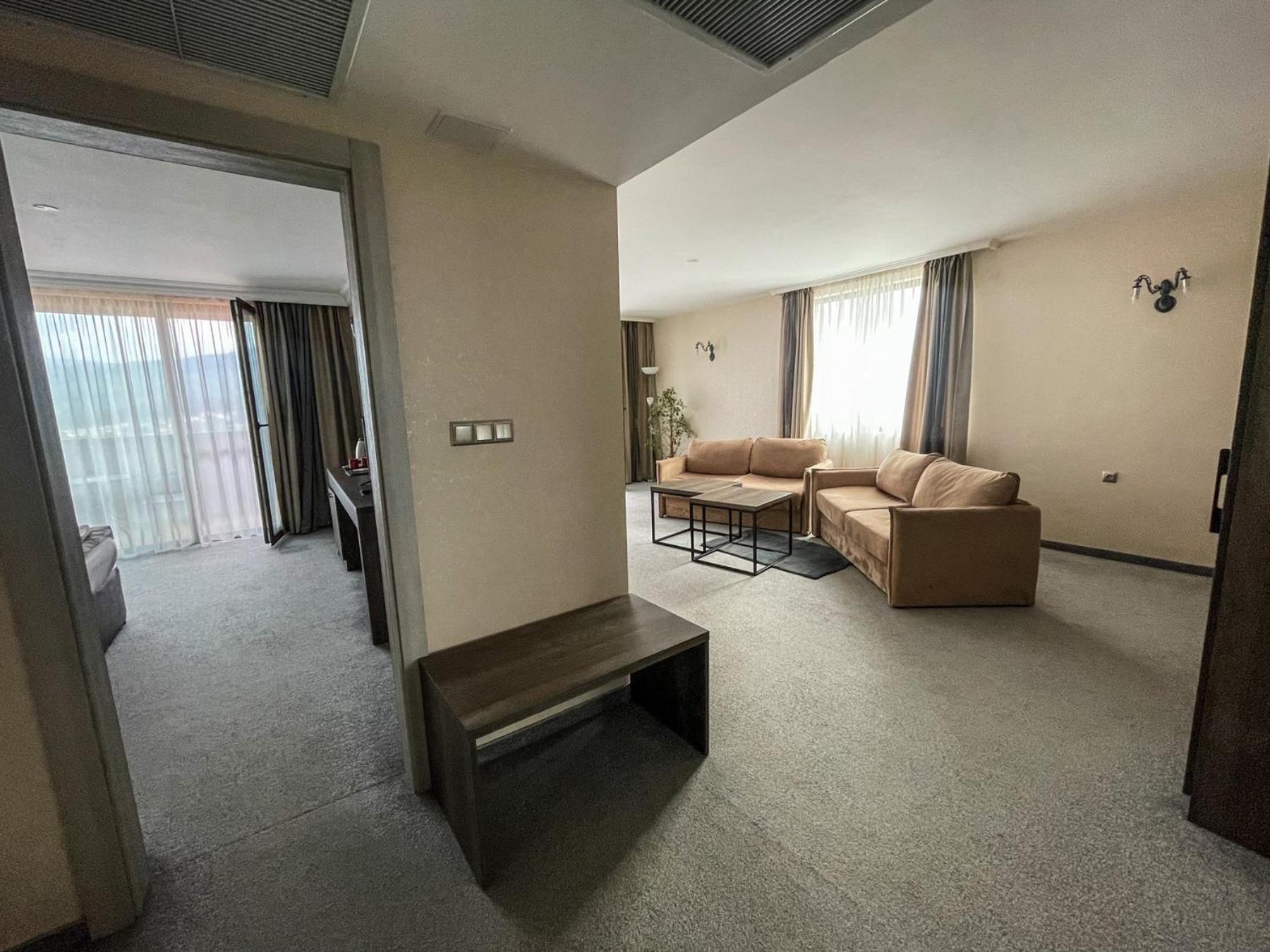 Deluxe One-Bedroom Apartment - Photo 3