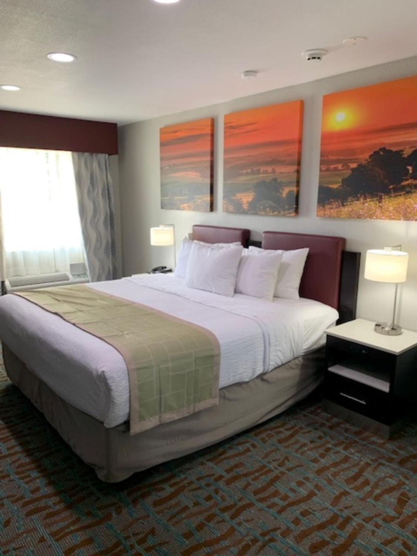 King Room with Roll-in Shower - Mobility Access/Non-Smoking - Photo 1