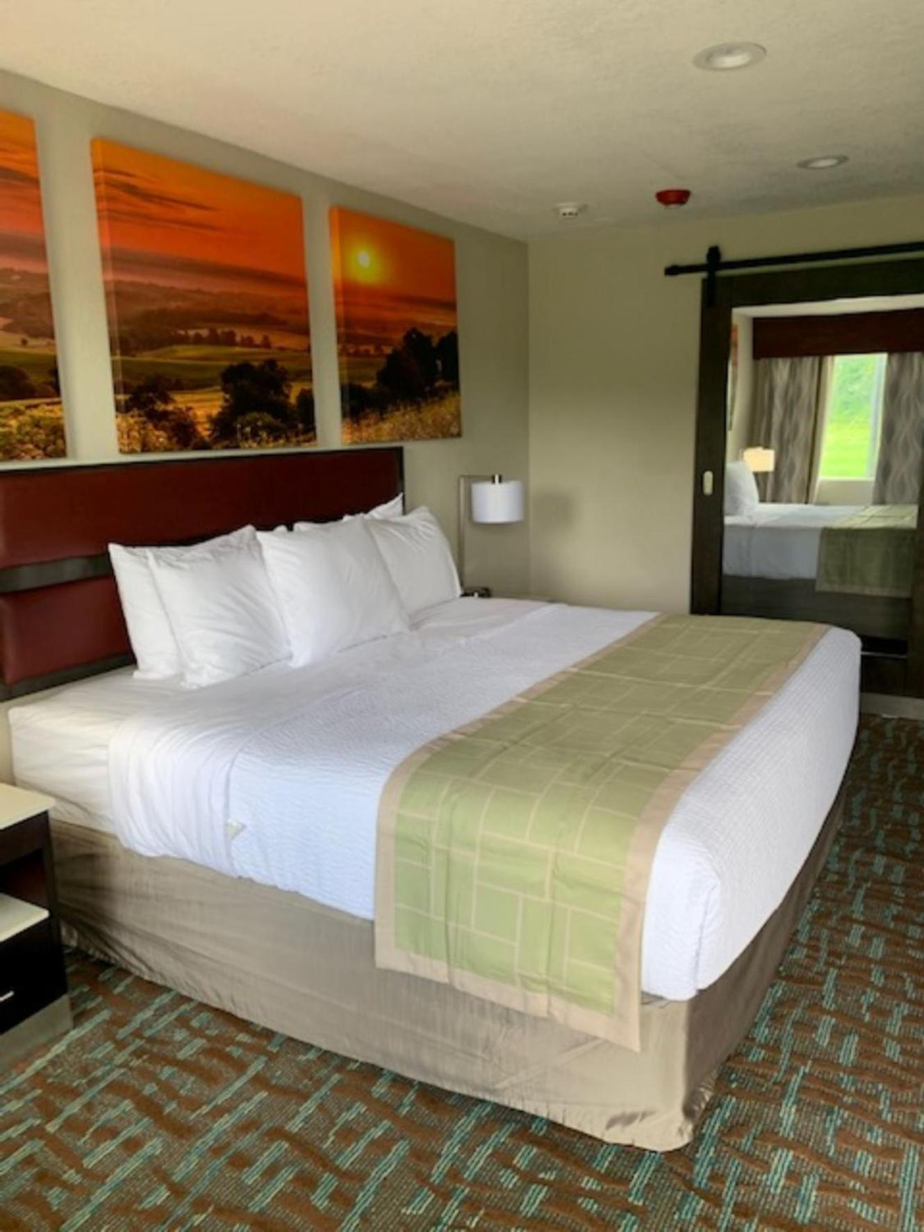 King Room with Roll-in Shower - Mobility Access/Non-Smoking - Photo 4