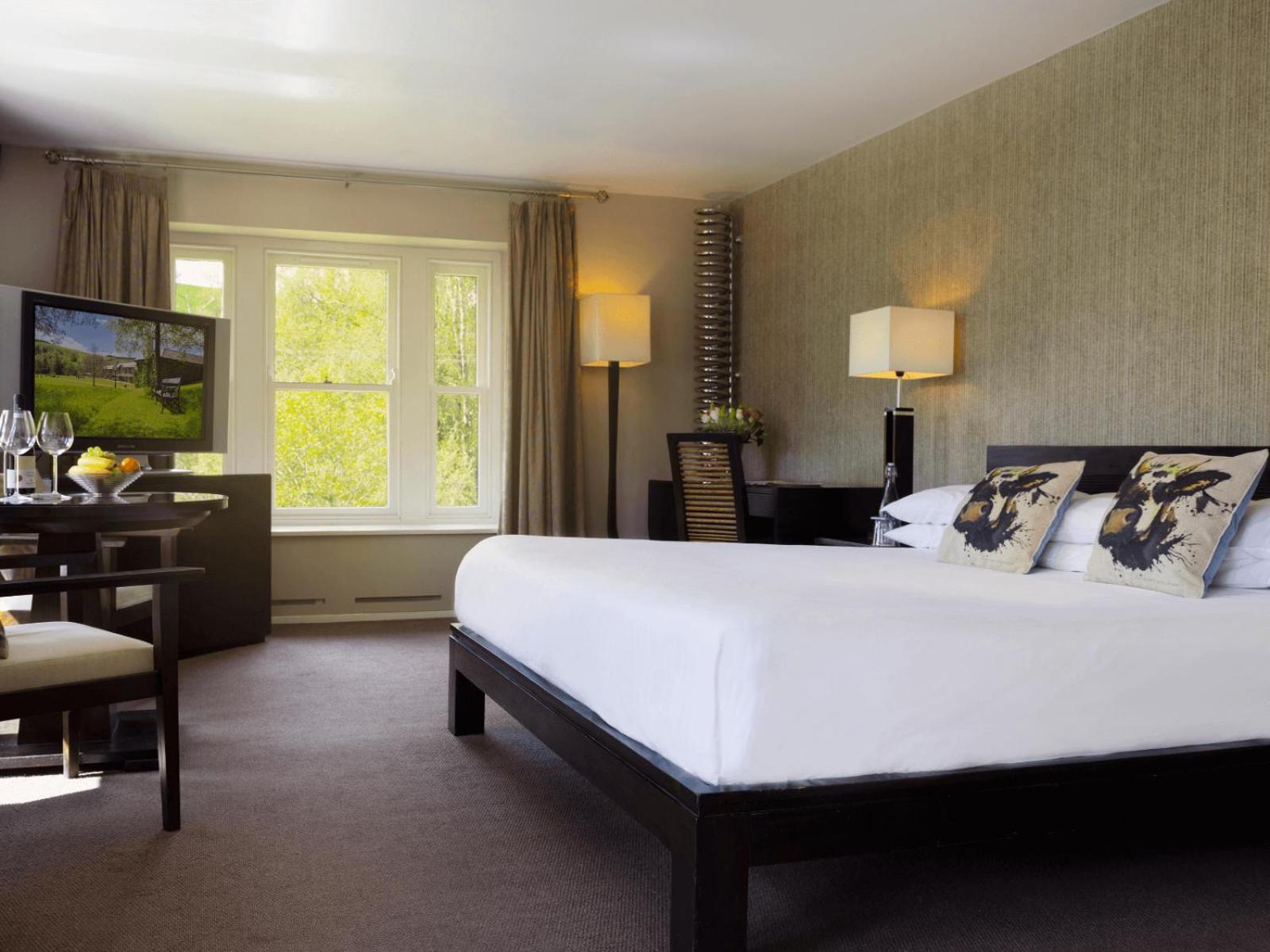 Junior Suite photo 2