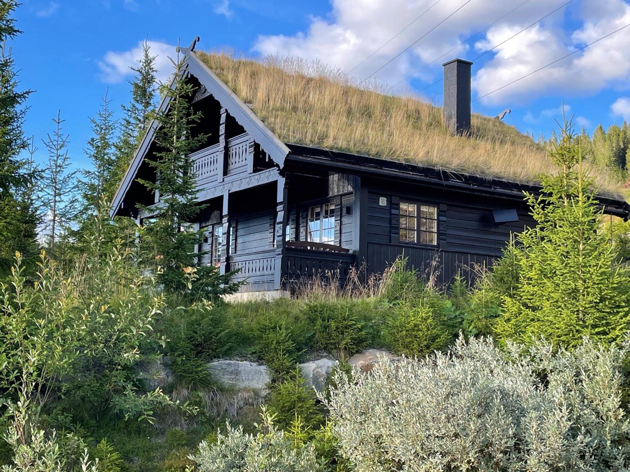 Three-Bedroom Chalet photo 2