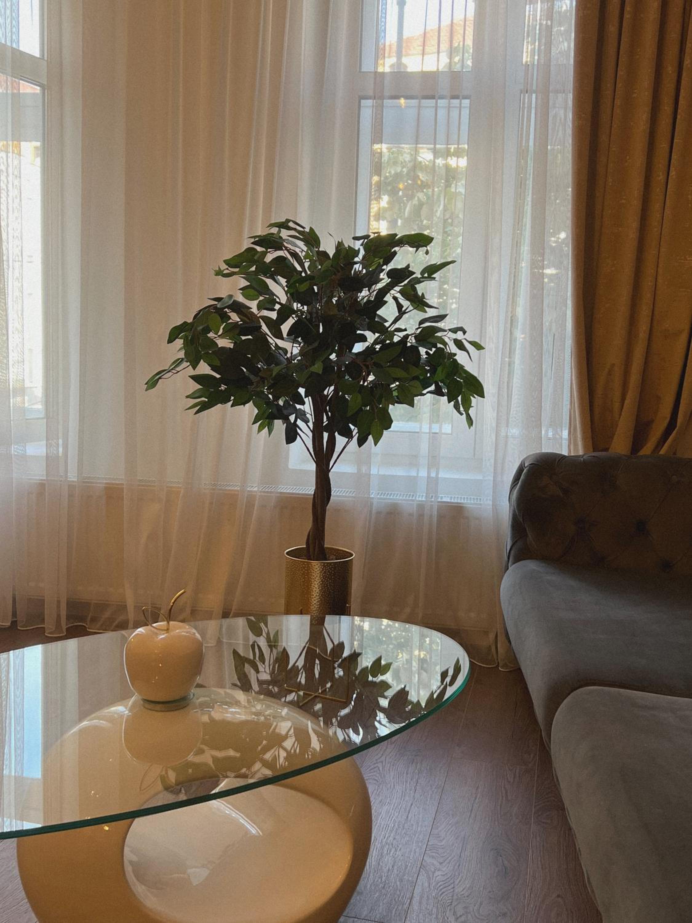 Studio Apartment - Photo 3