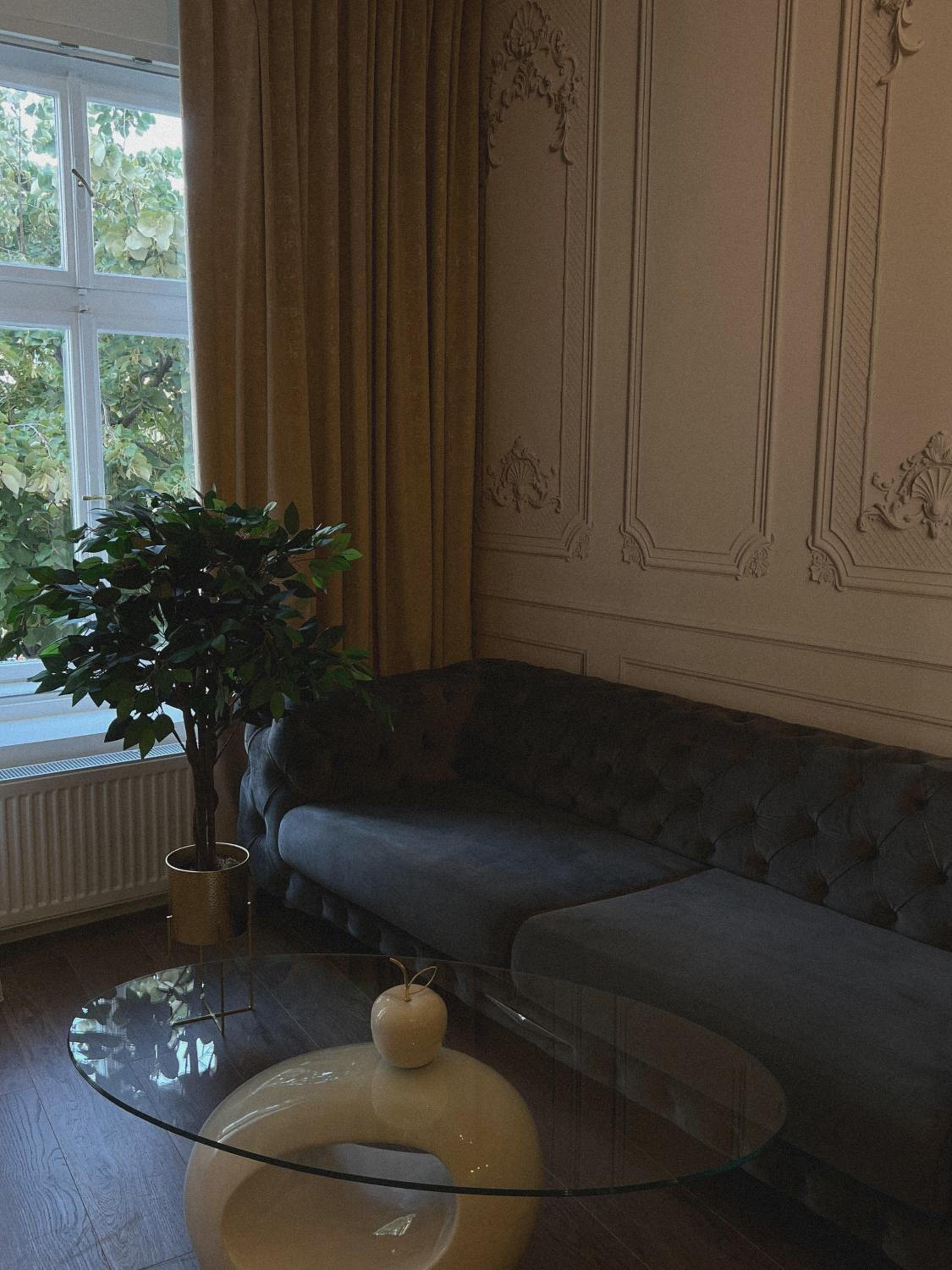 Studio Apartment - Photo 4