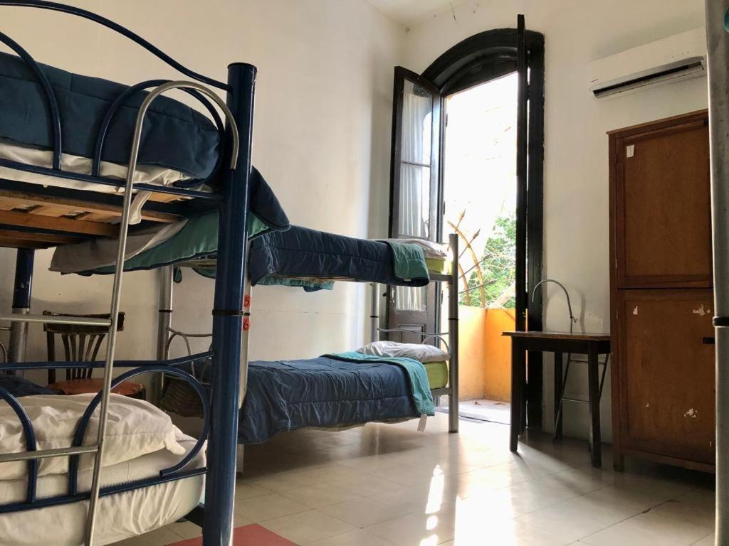 Bed in 6-Bed Mixed Dormitory Room