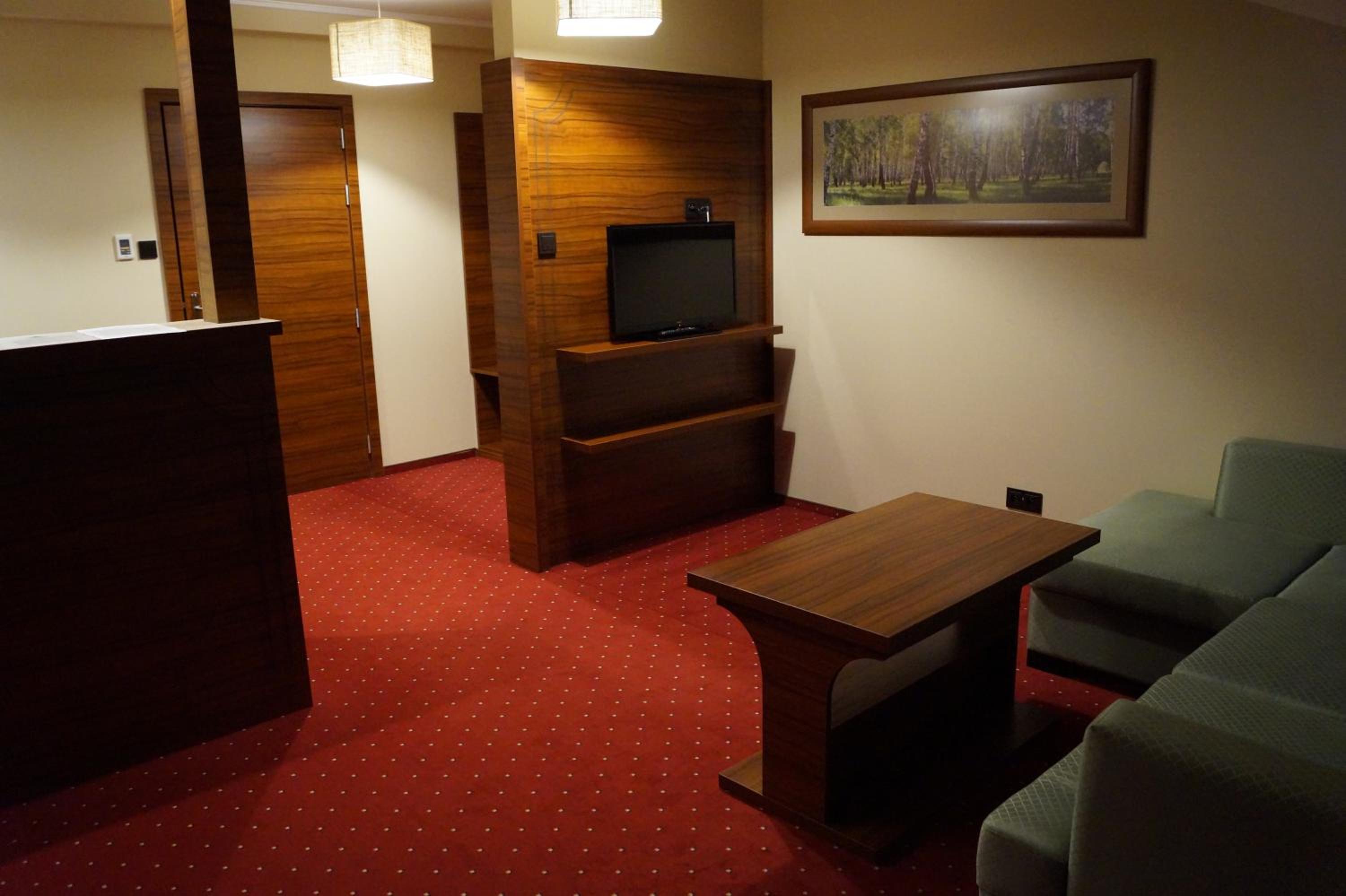 Deluxe One-Bedroom Apartment - Photo 3