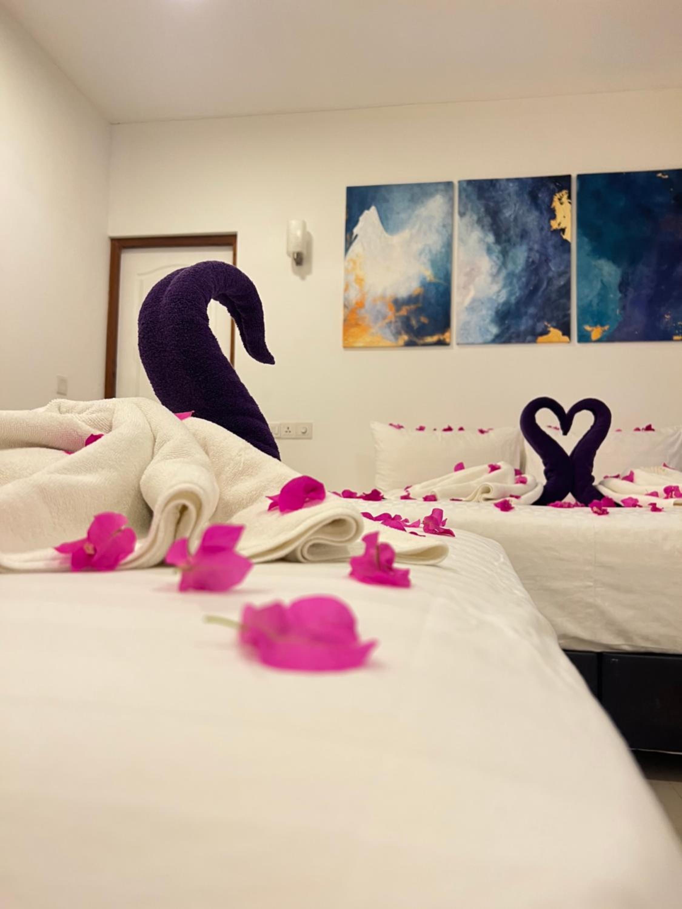 Deluxe Triple Room photo 3