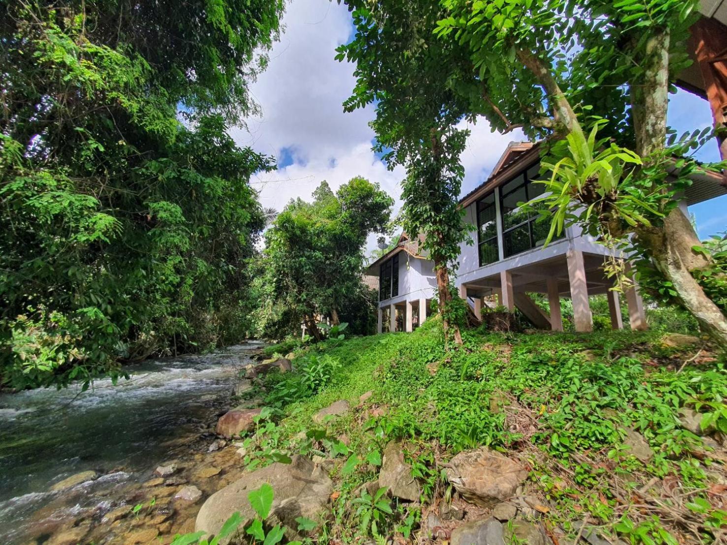 Bungalow - Water Front  - Photo 7