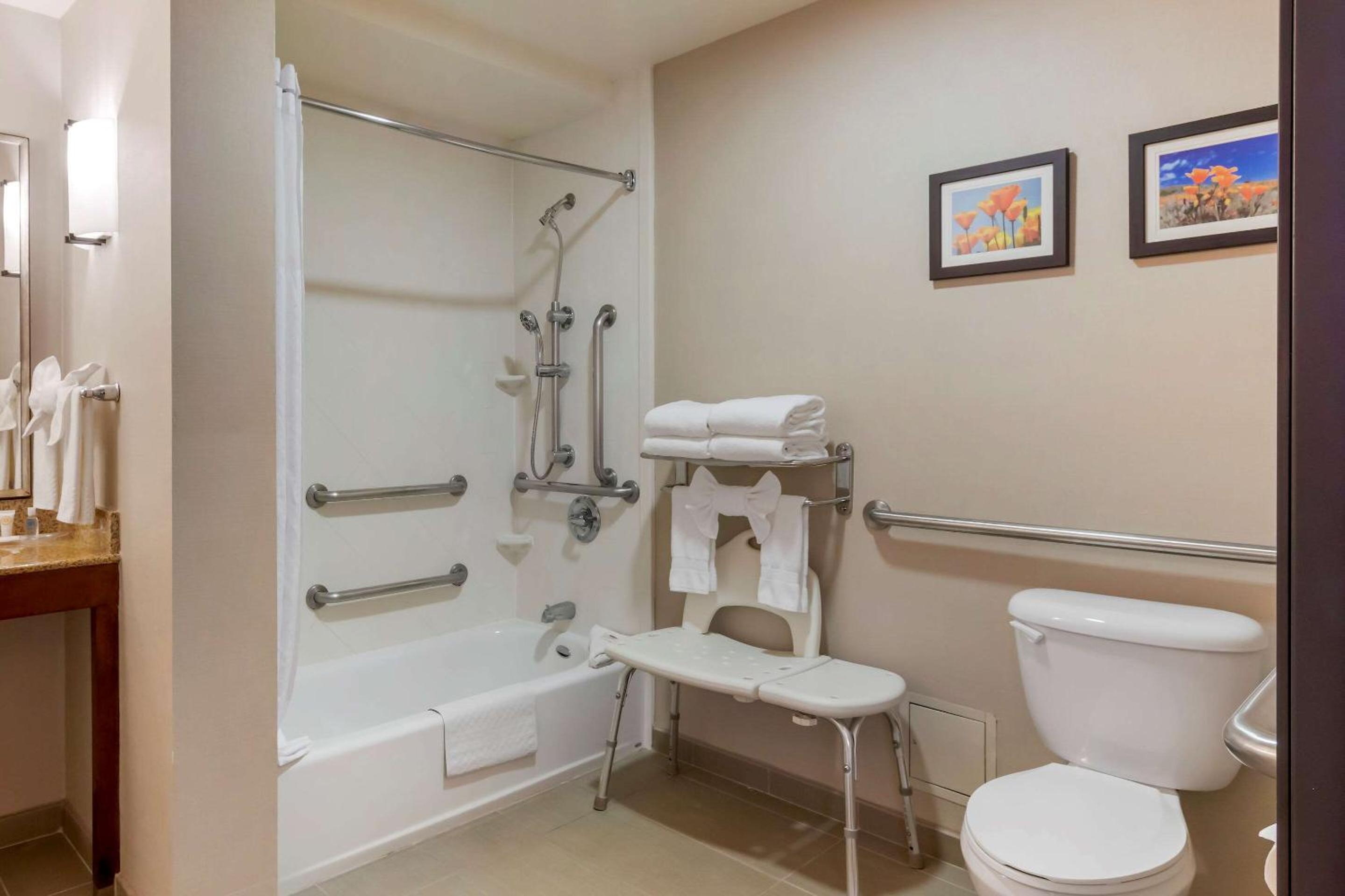 Accessible Suite, 1 King Bed with Sofa Bed, Tub, Non Smoking - Photo 4