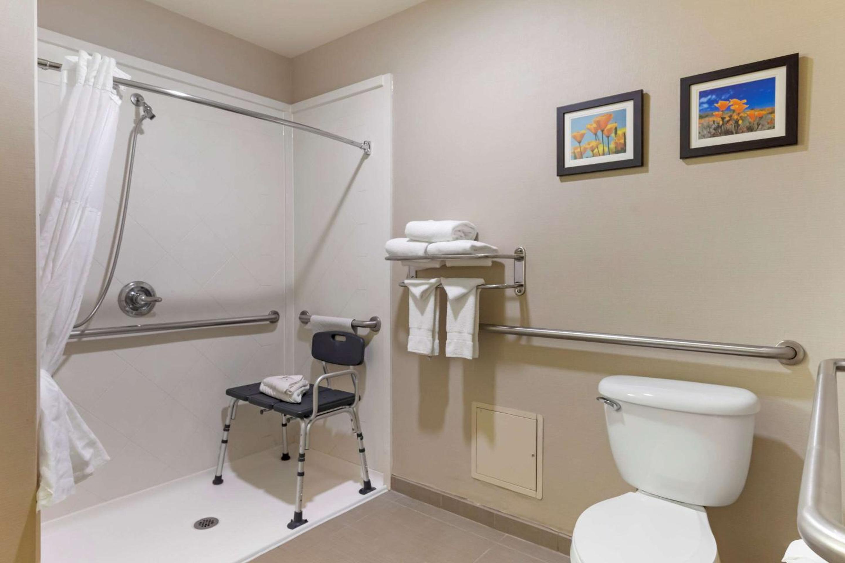 Accessible Suite, 1 King Bed with Sofa Bed, Roll-In Shower, Non Smoking