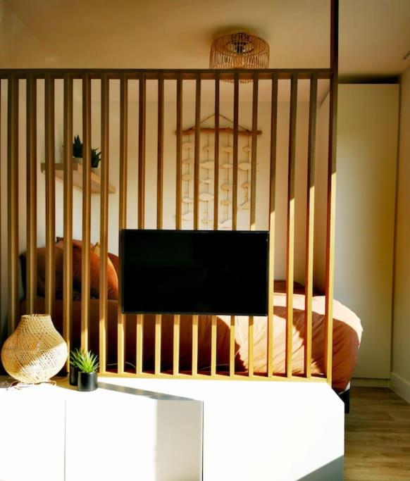 One-Bedroom Apartment photo 3