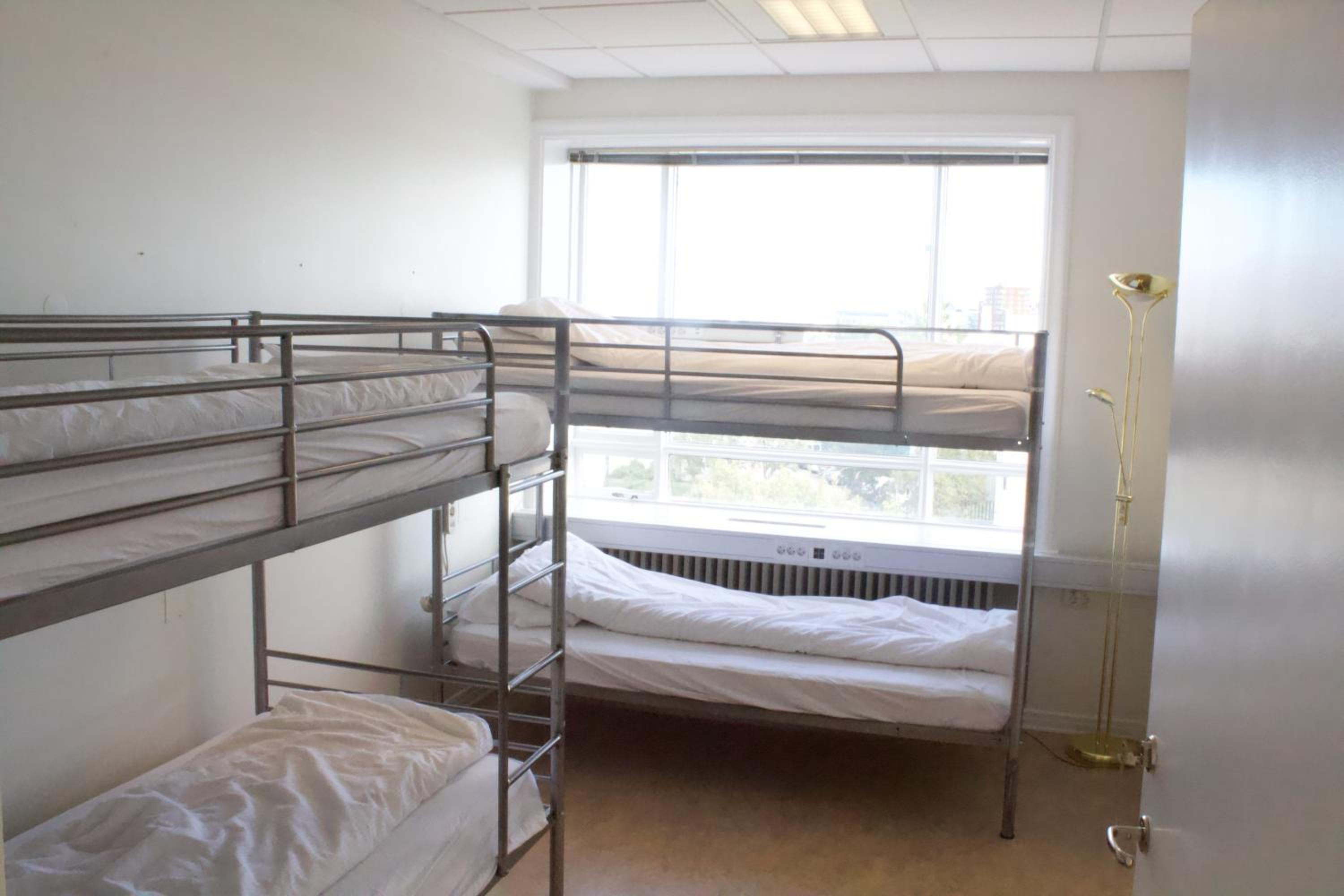 Bunk Bed in 4-Bed Mixed Dormitory Room photo 1