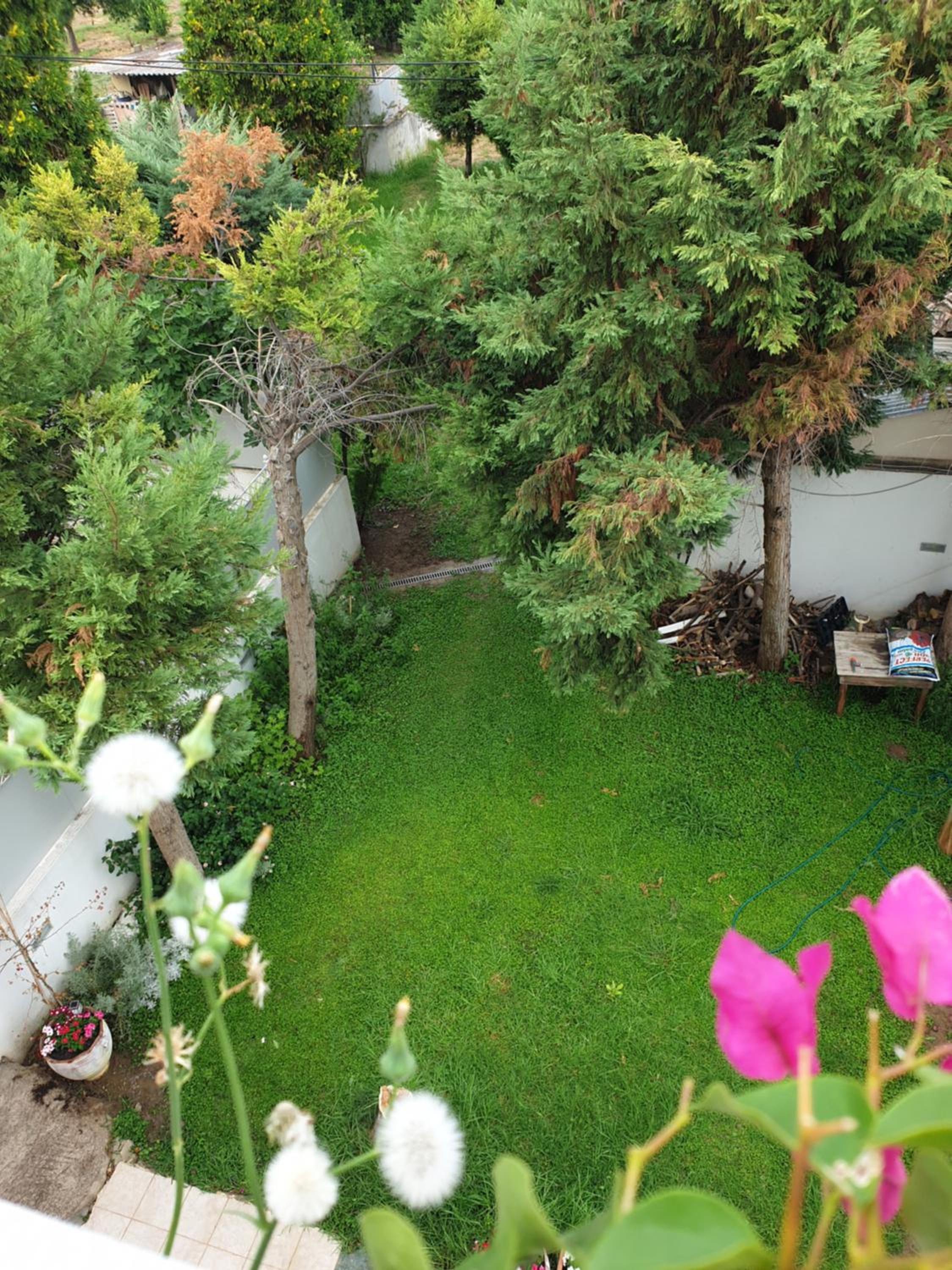 Two-Bedroom House - Photo 29