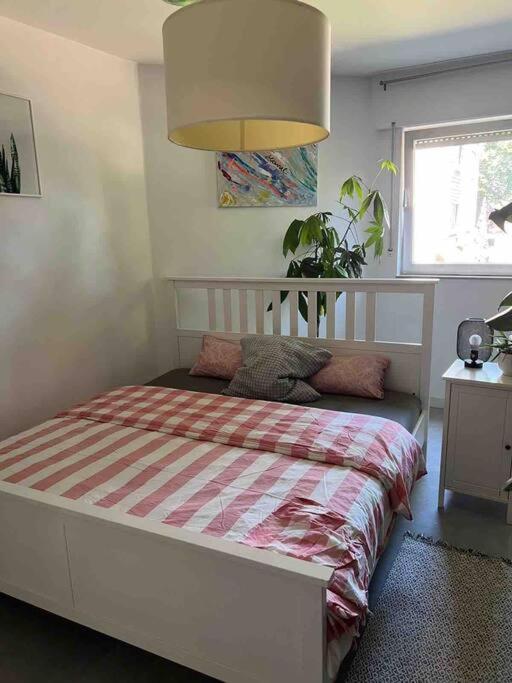 One-Bedroom Apartment with Garden photo 3