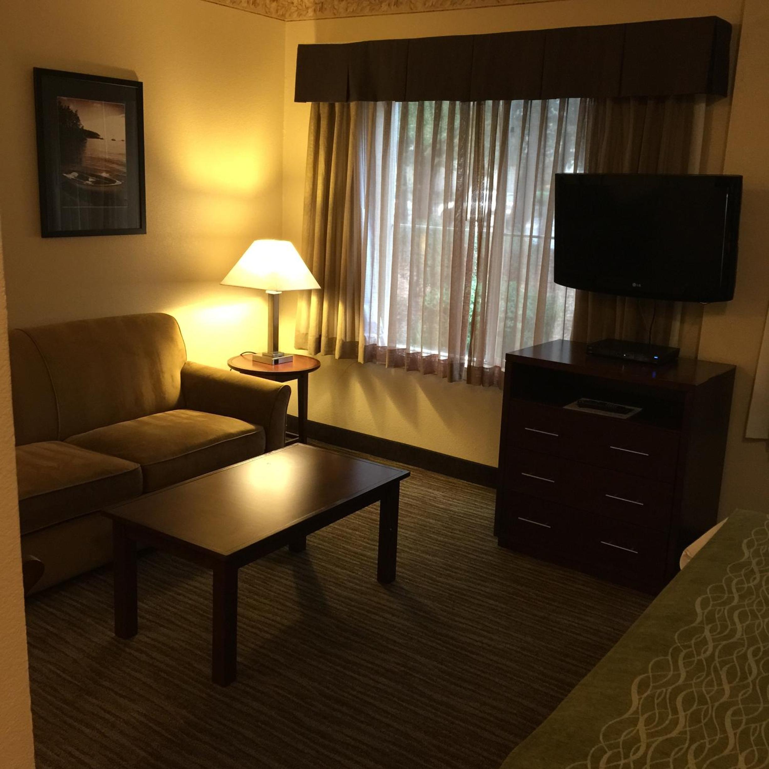 King Suite with Sofa Bed and Kitchen - Non-Smoking - Photo 6