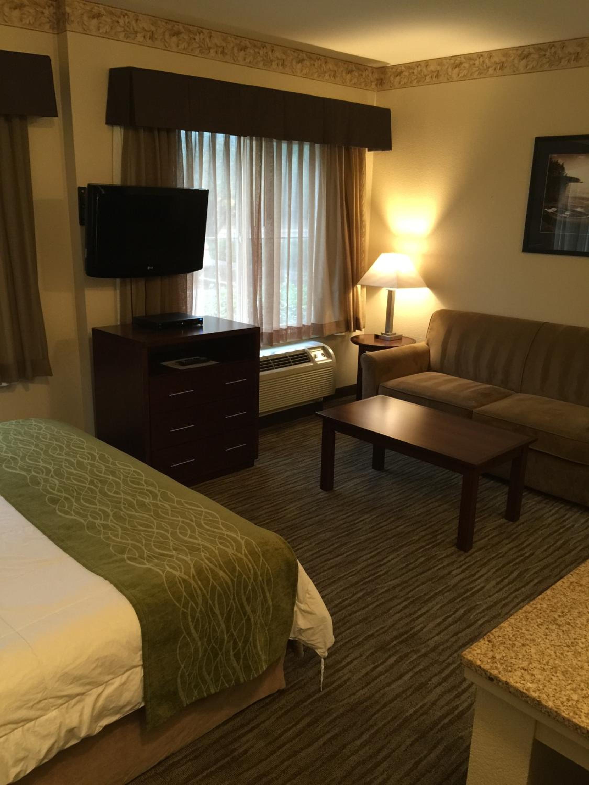 King Suite with Sofa Bed and Kitchen - Non-Smoking - Photo 5