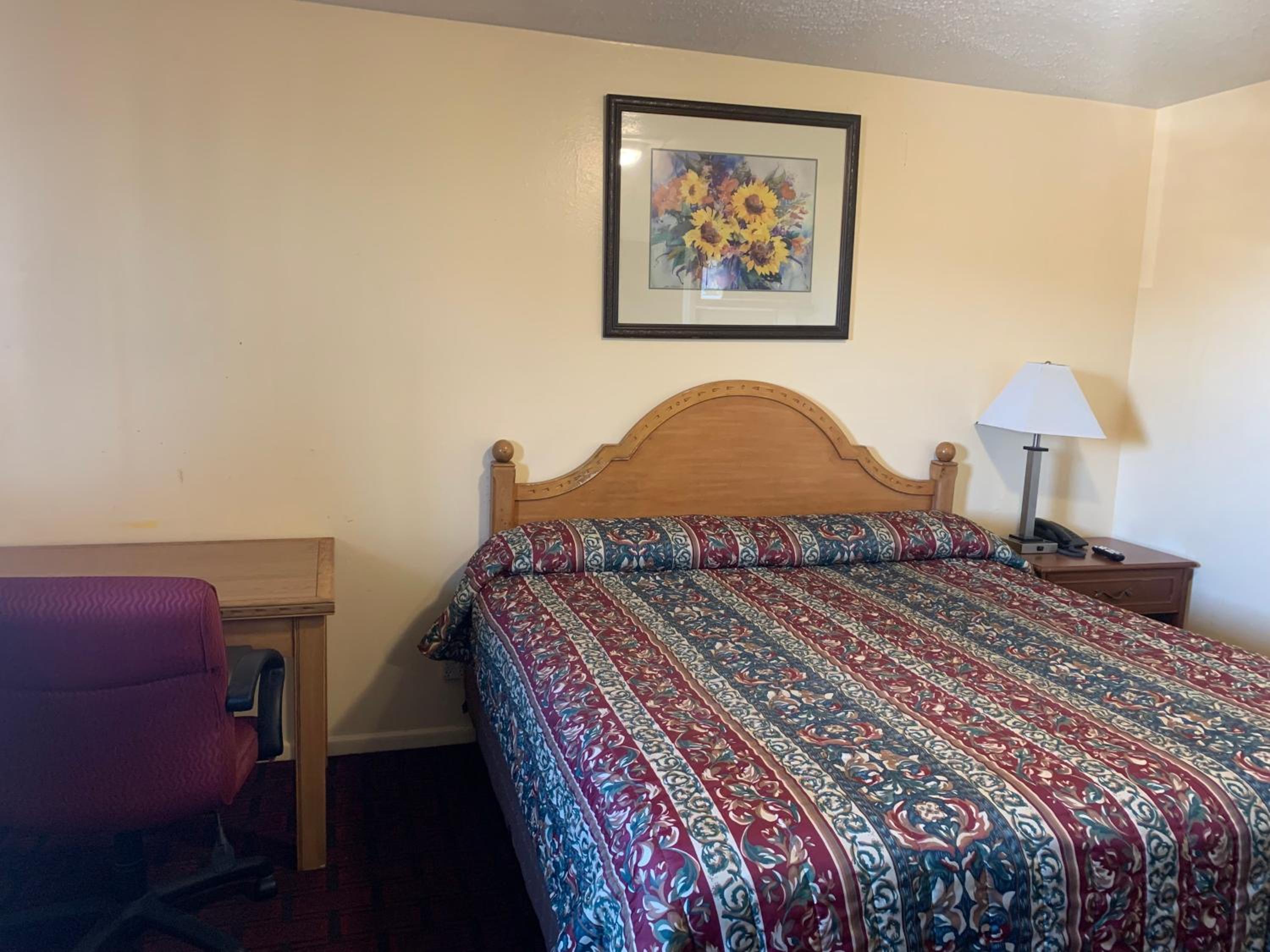 Large Single Room photo 3