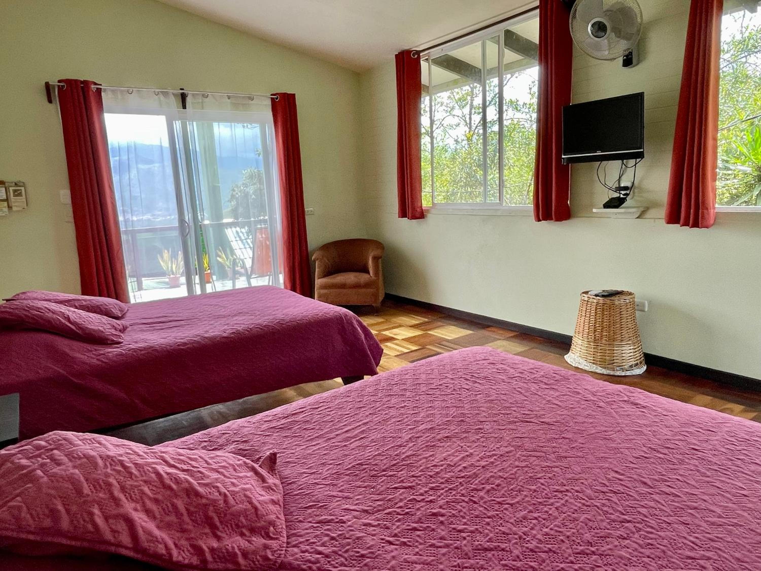 Deluxe Double Room photo 1