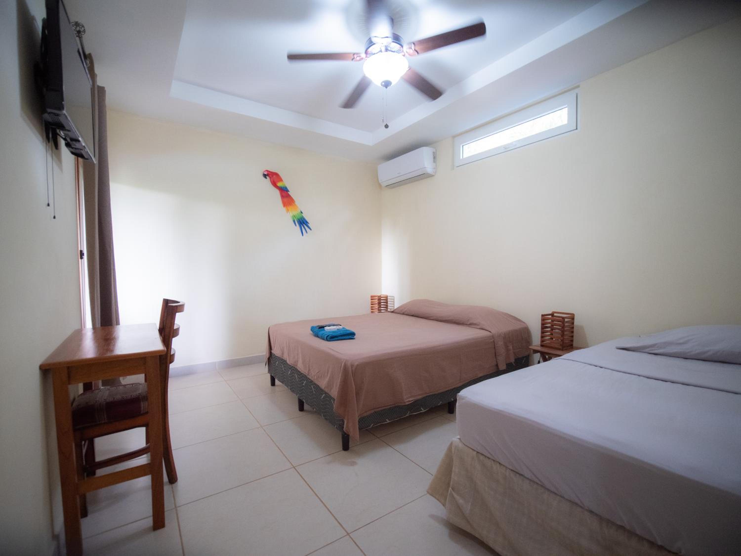 Triple Room with Pool View