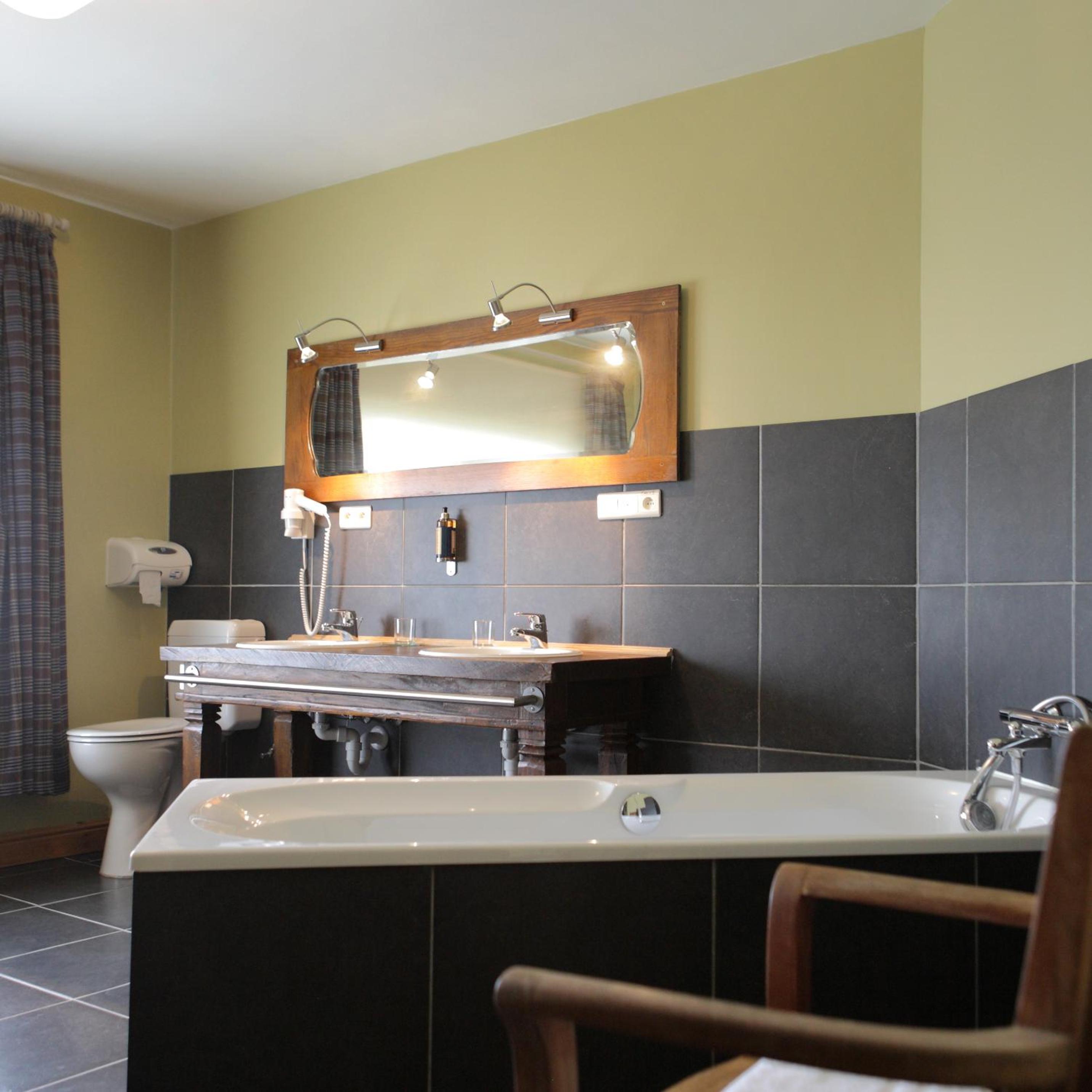 Deluxe Double or Twin Room photo 3