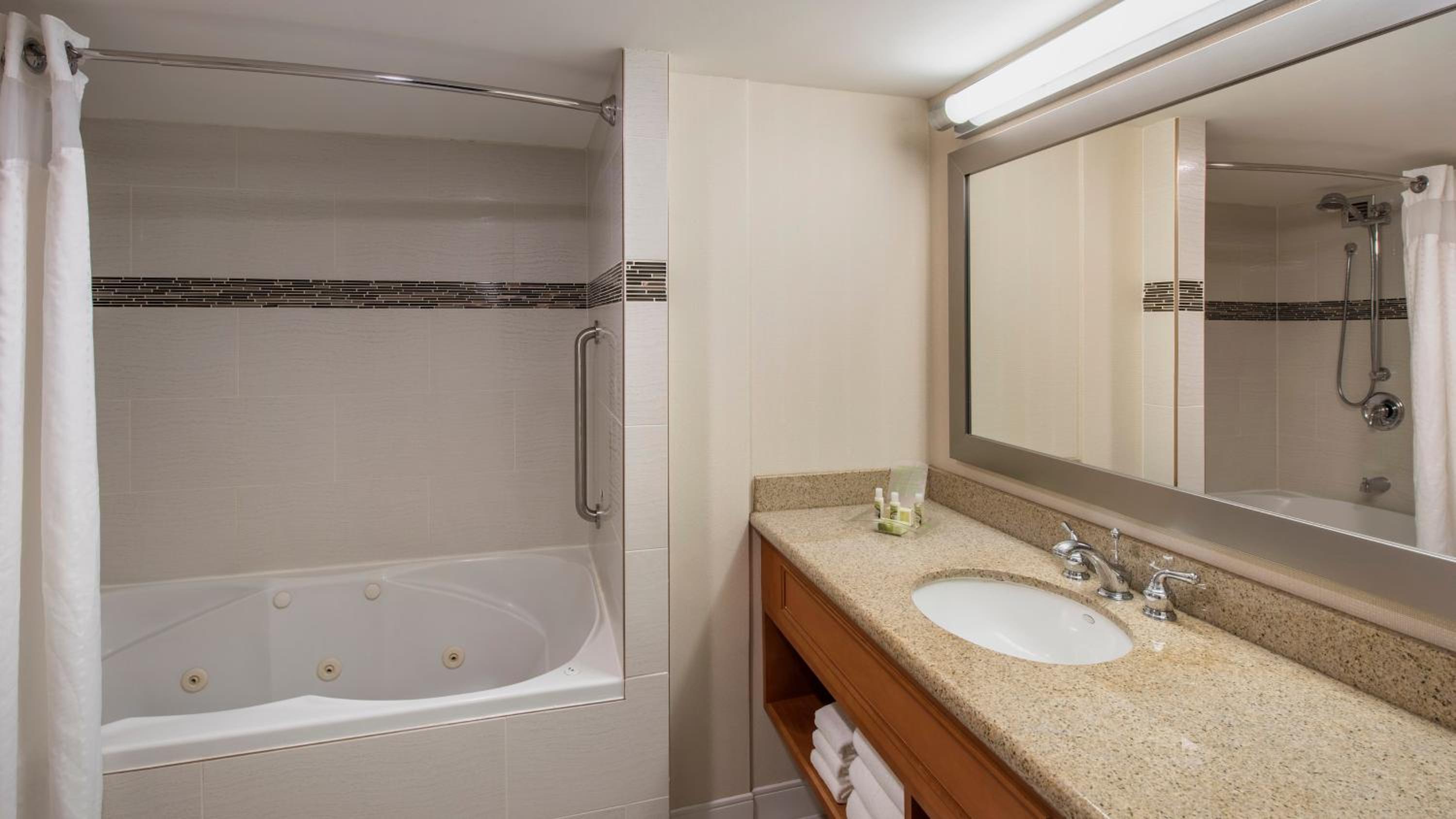 One-Bedroom Suite with City View - Photo 3