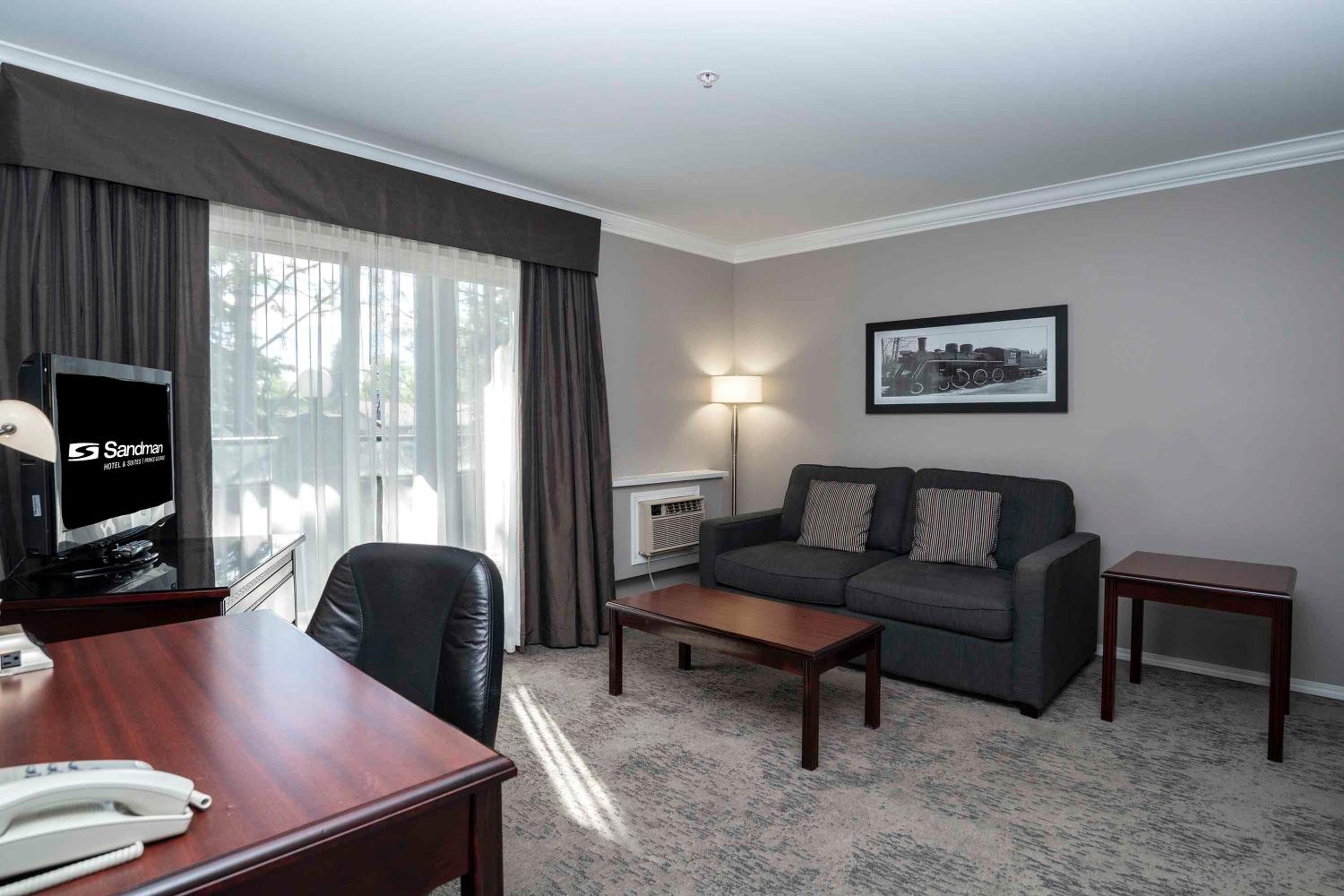 Standard Suite, 1 King Bed, Sofa Bed, Kitchen - Photo 4