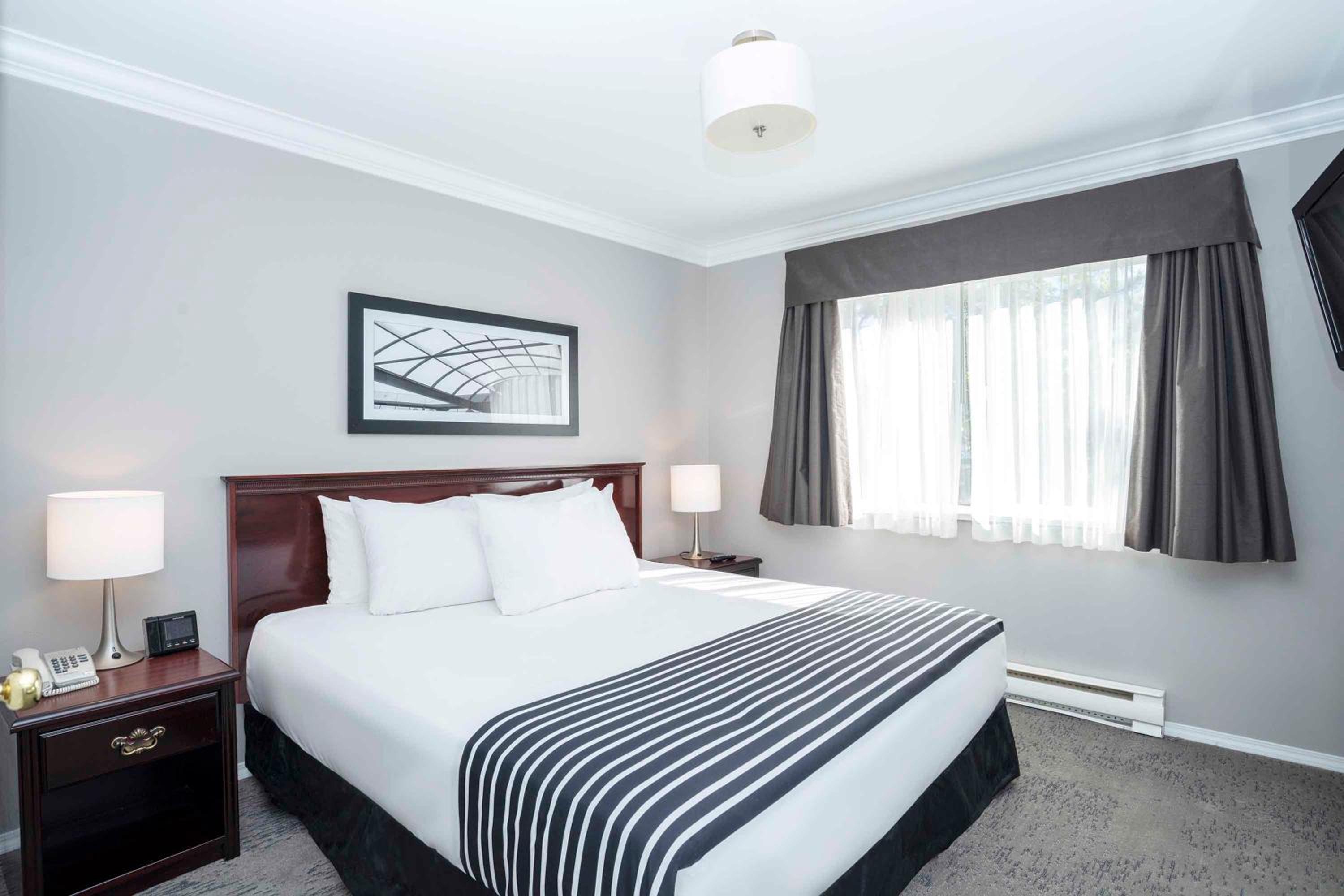 Standard Suite, 1 King Bed, Sofa Bed, Kitchen - Photo 1