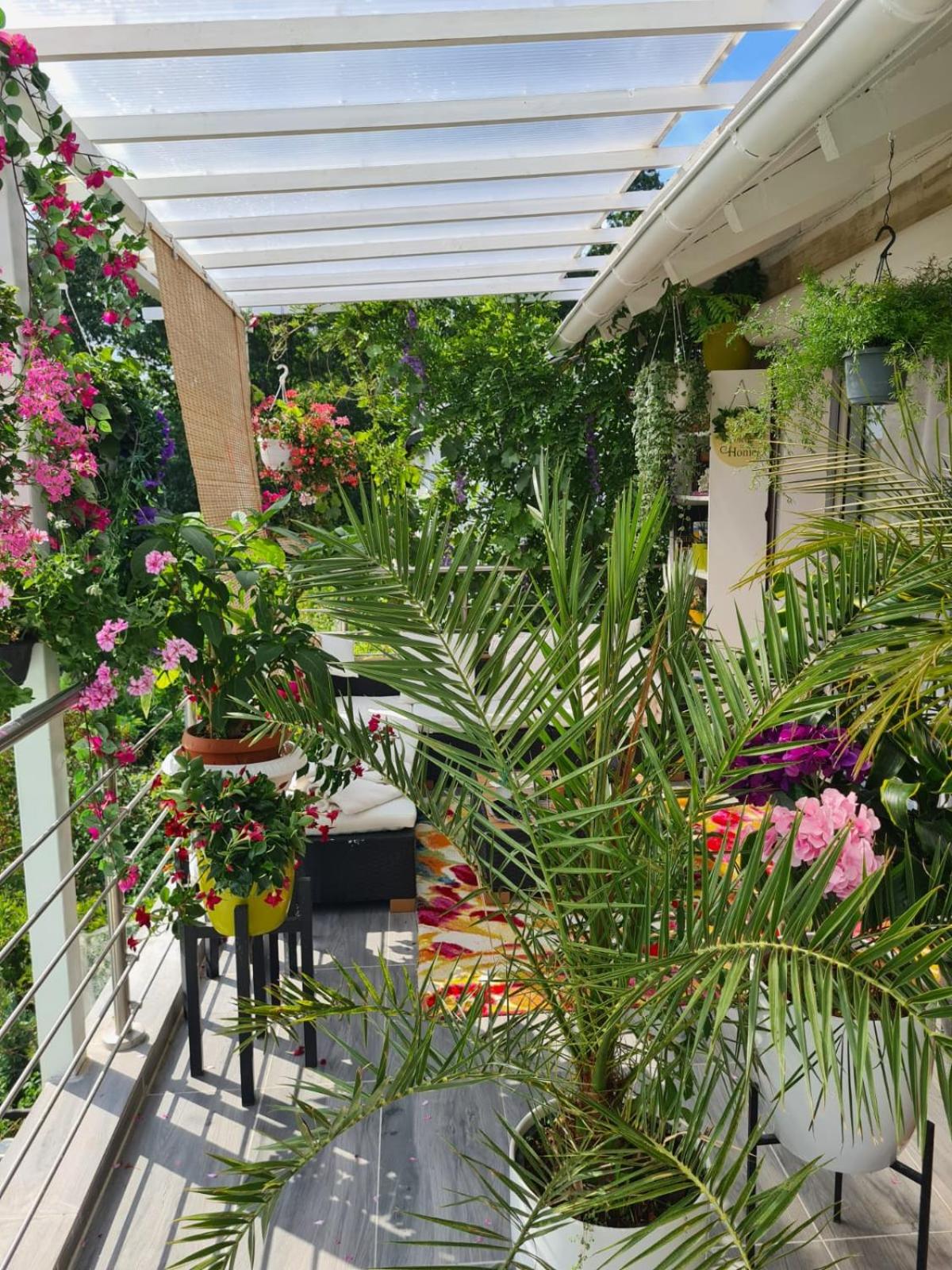 Double Room with Garden View photo 2