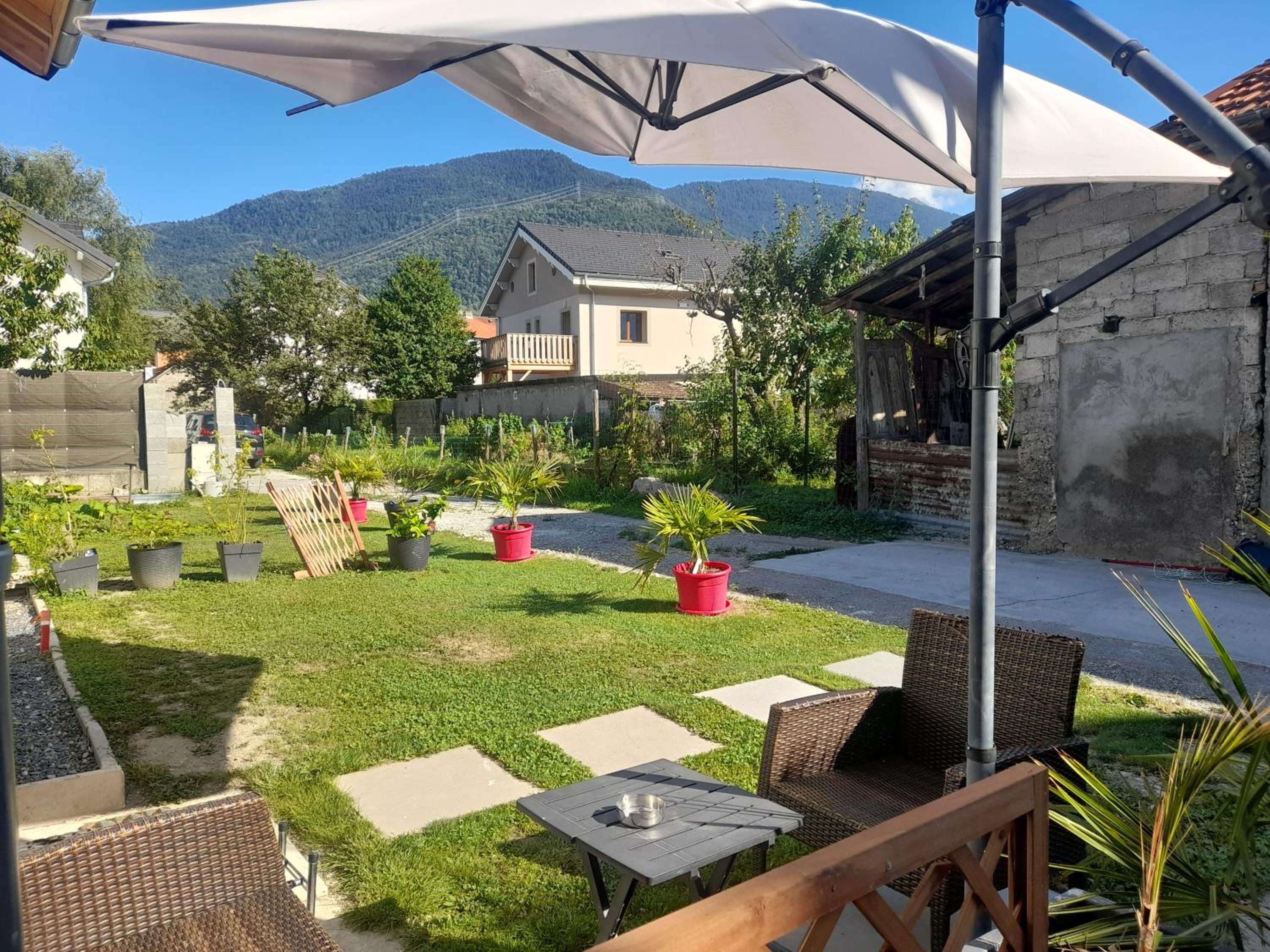Studio with Terrace photo 2