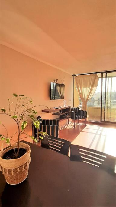 Three-Bedroom Apartment photo 3