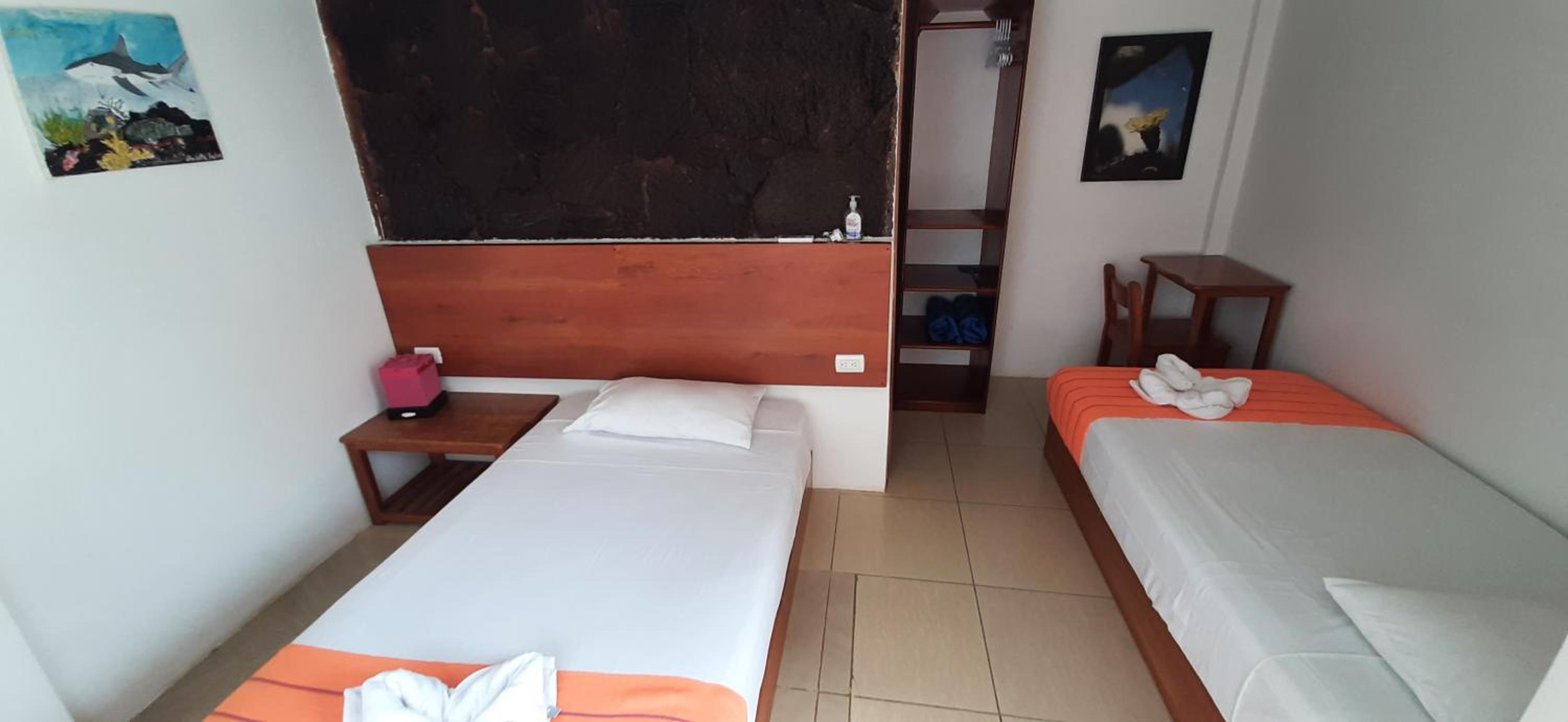 Twin Room photo 1