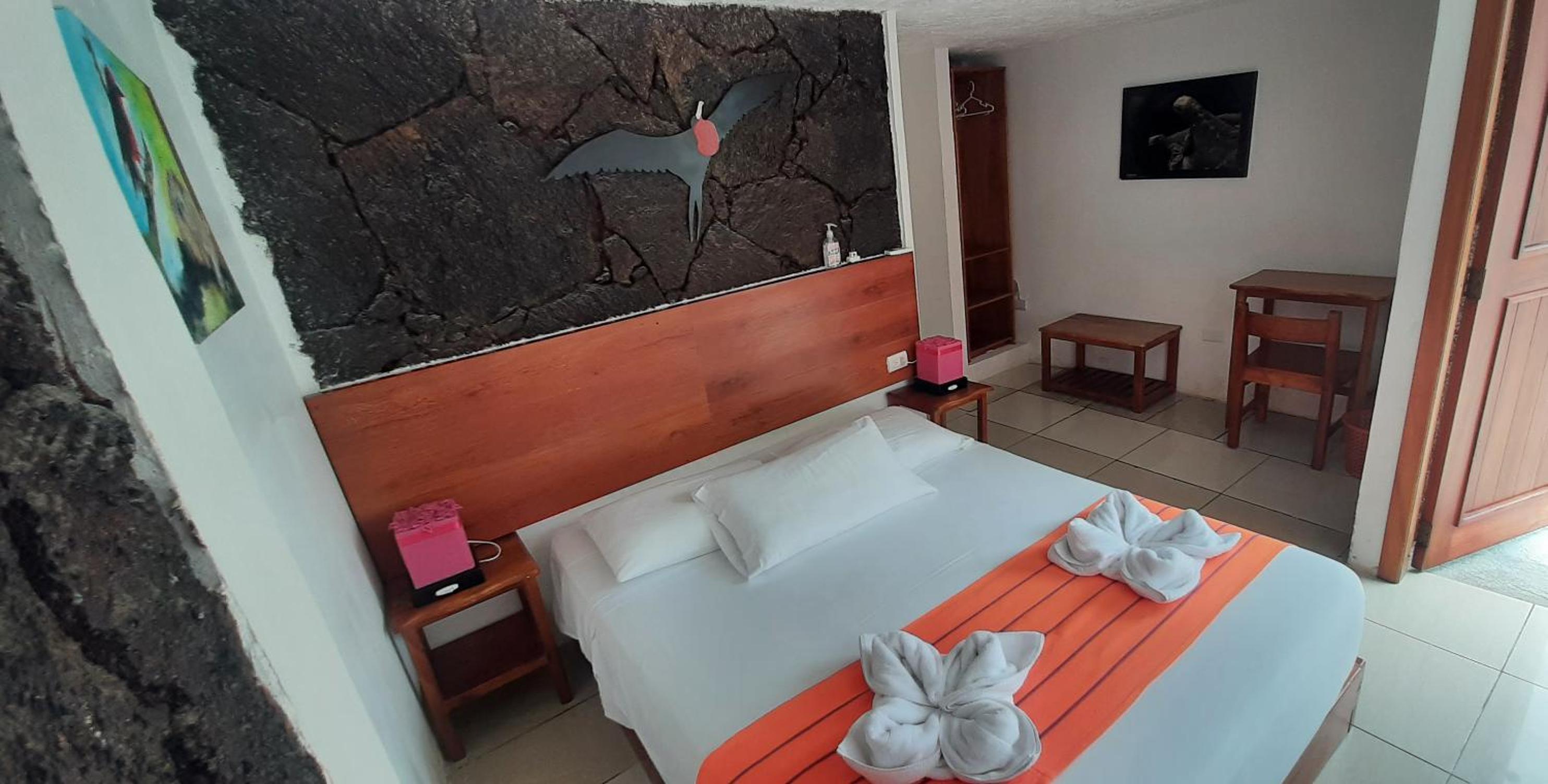 Single Room photo 1