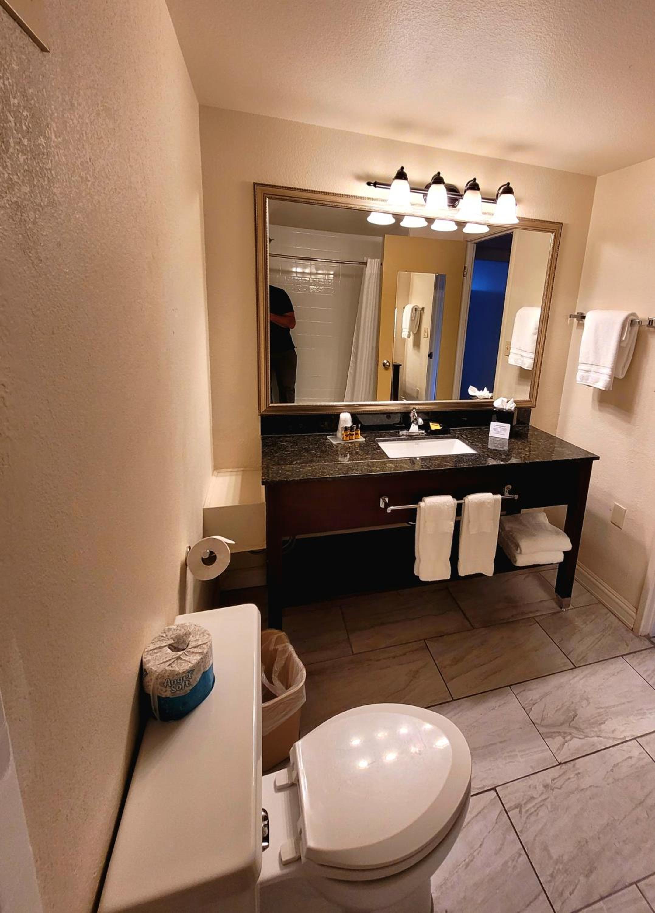 King Room - Non-Smoking - Photo 4