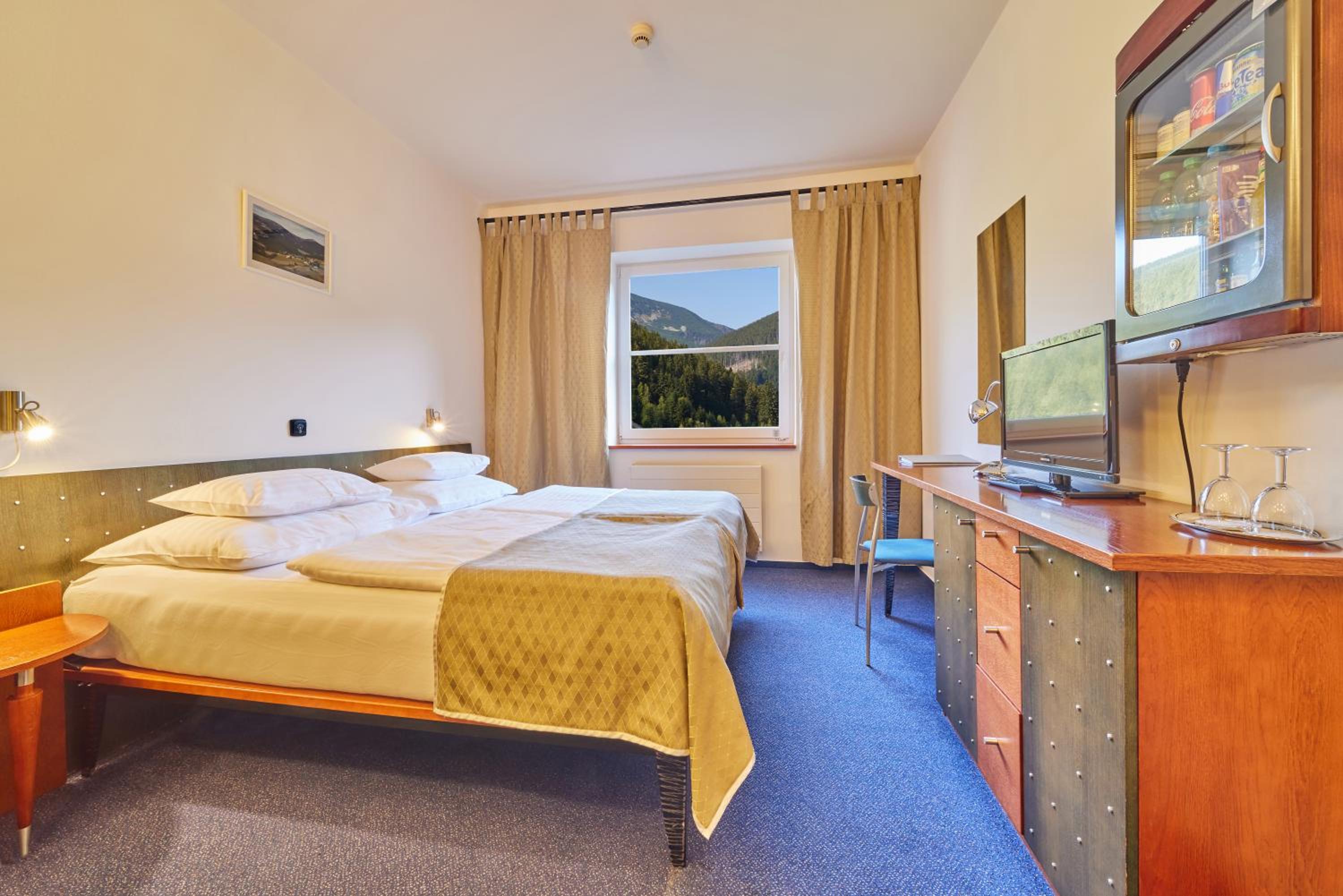 Special Offer - Double Room with Wellness Package photo 1