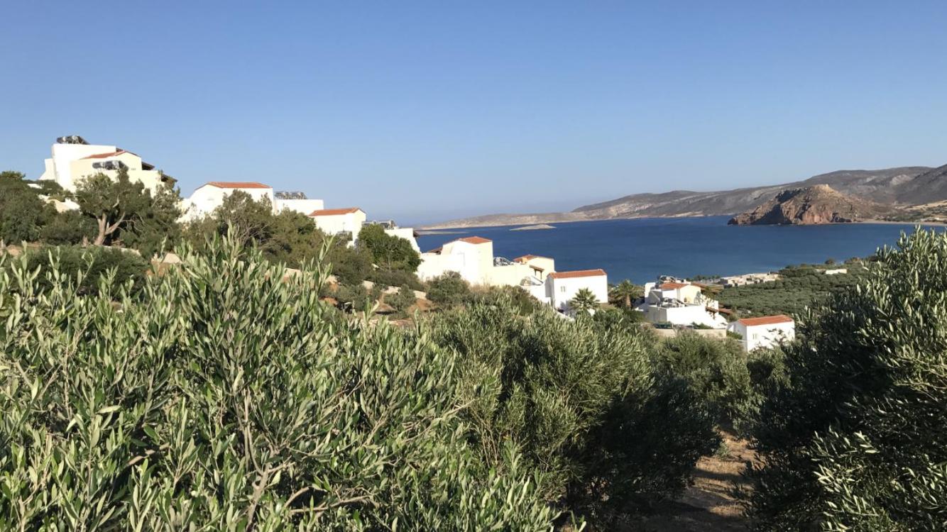 Studios ( 3 Adults) with Side Sea View