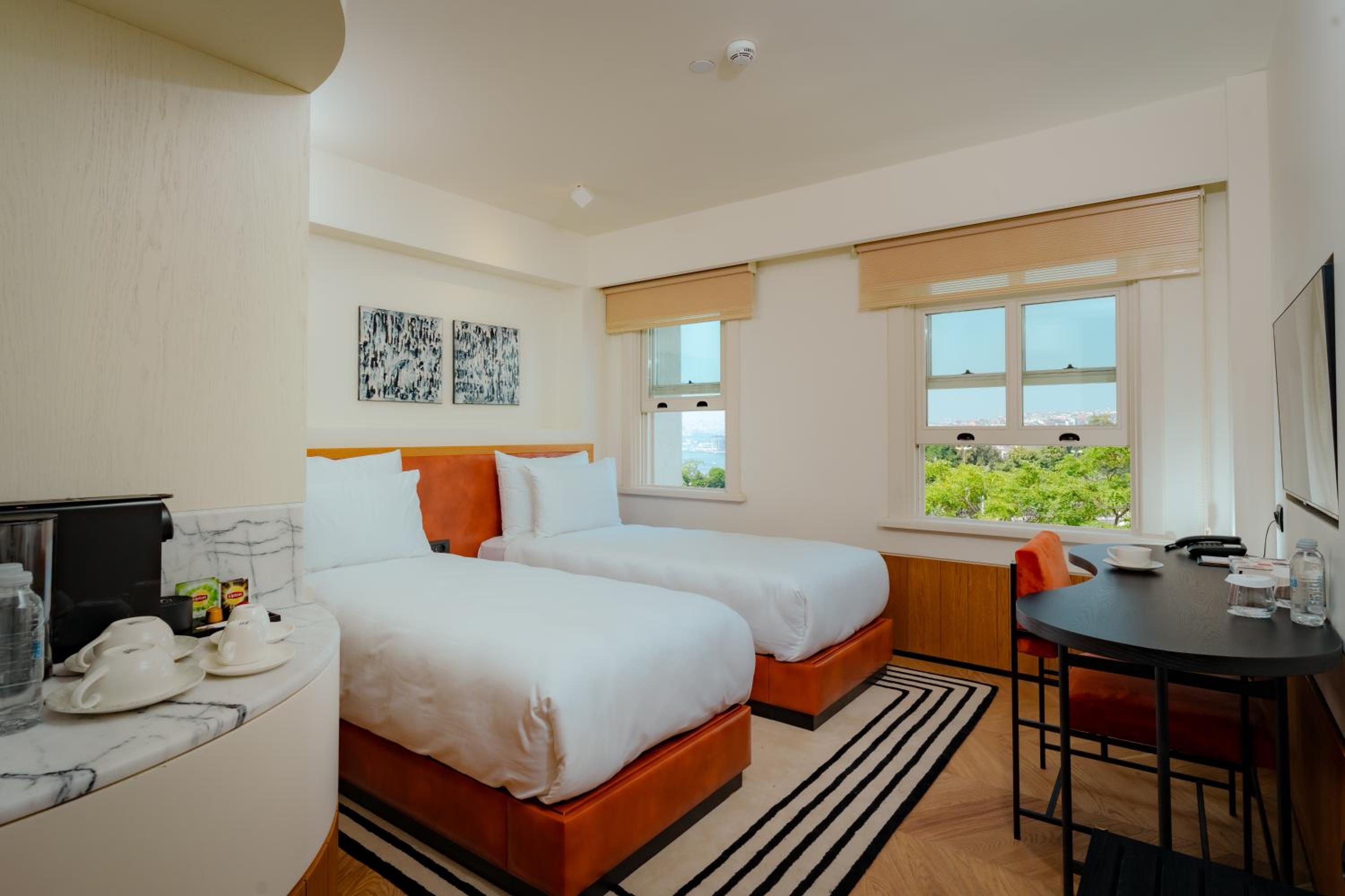 Superior Double or Twin Room photo 3