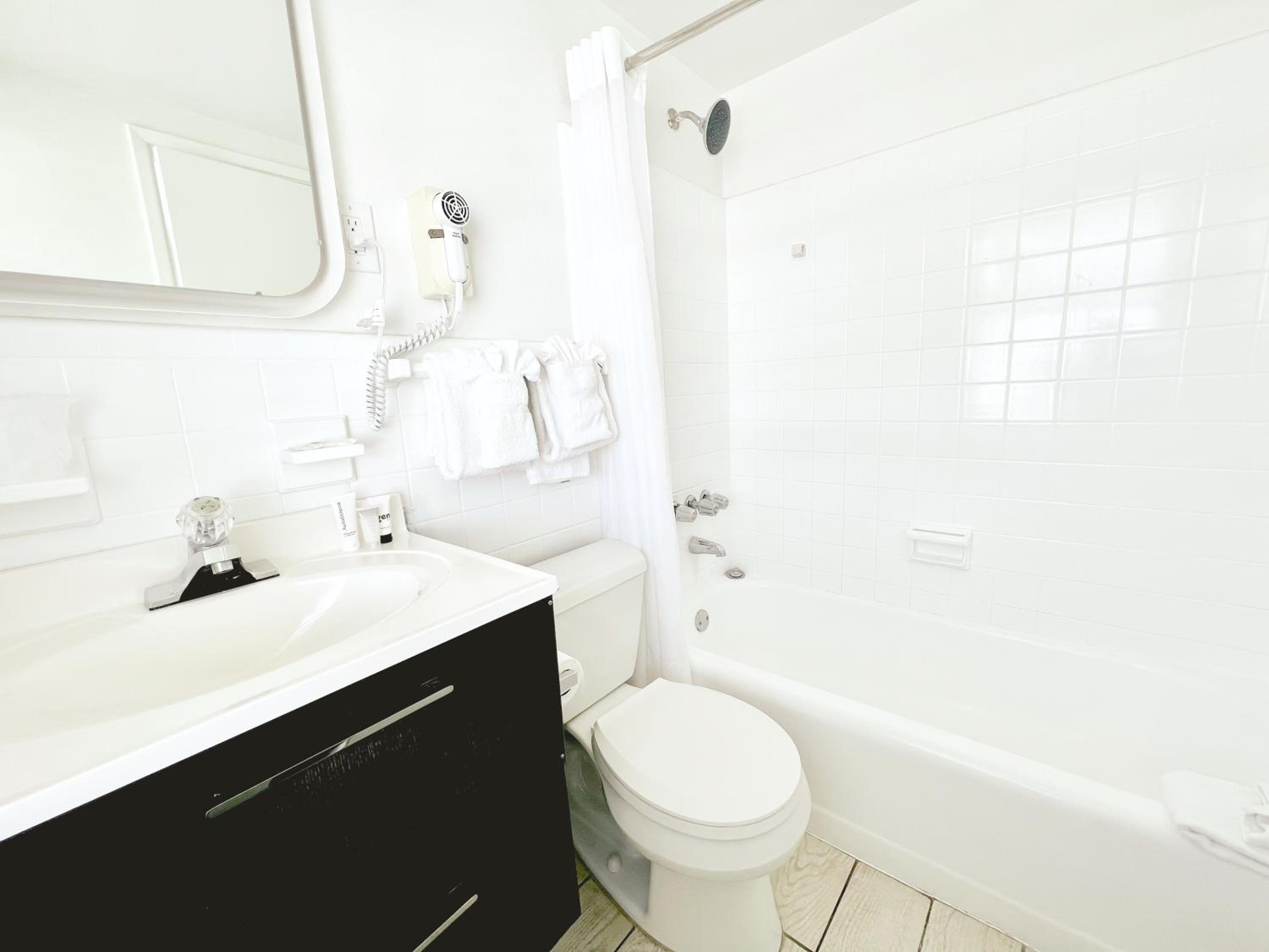One-Bedroom Suite - Photo 4